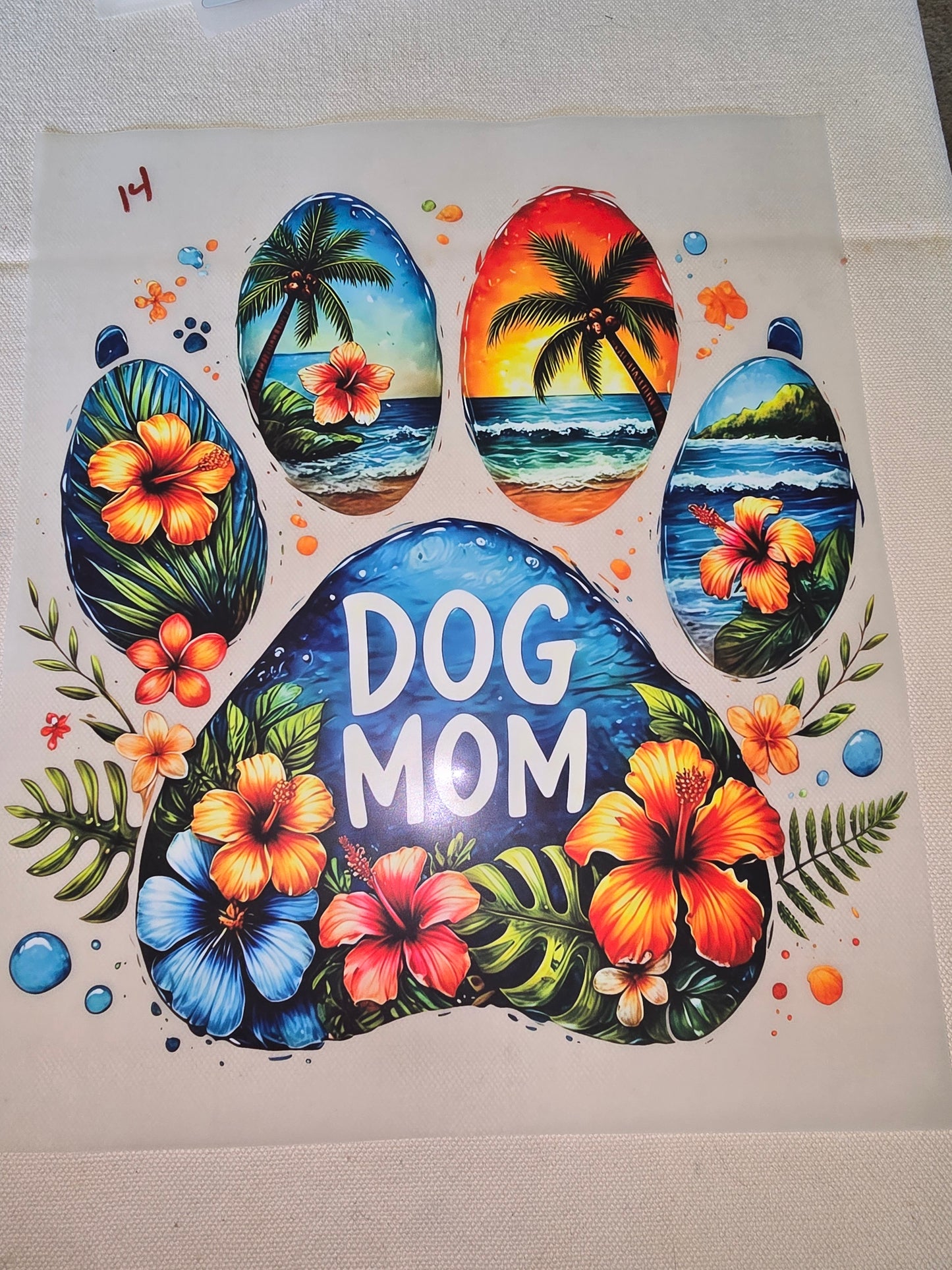 Heat Transfer - Dogs, Cats
