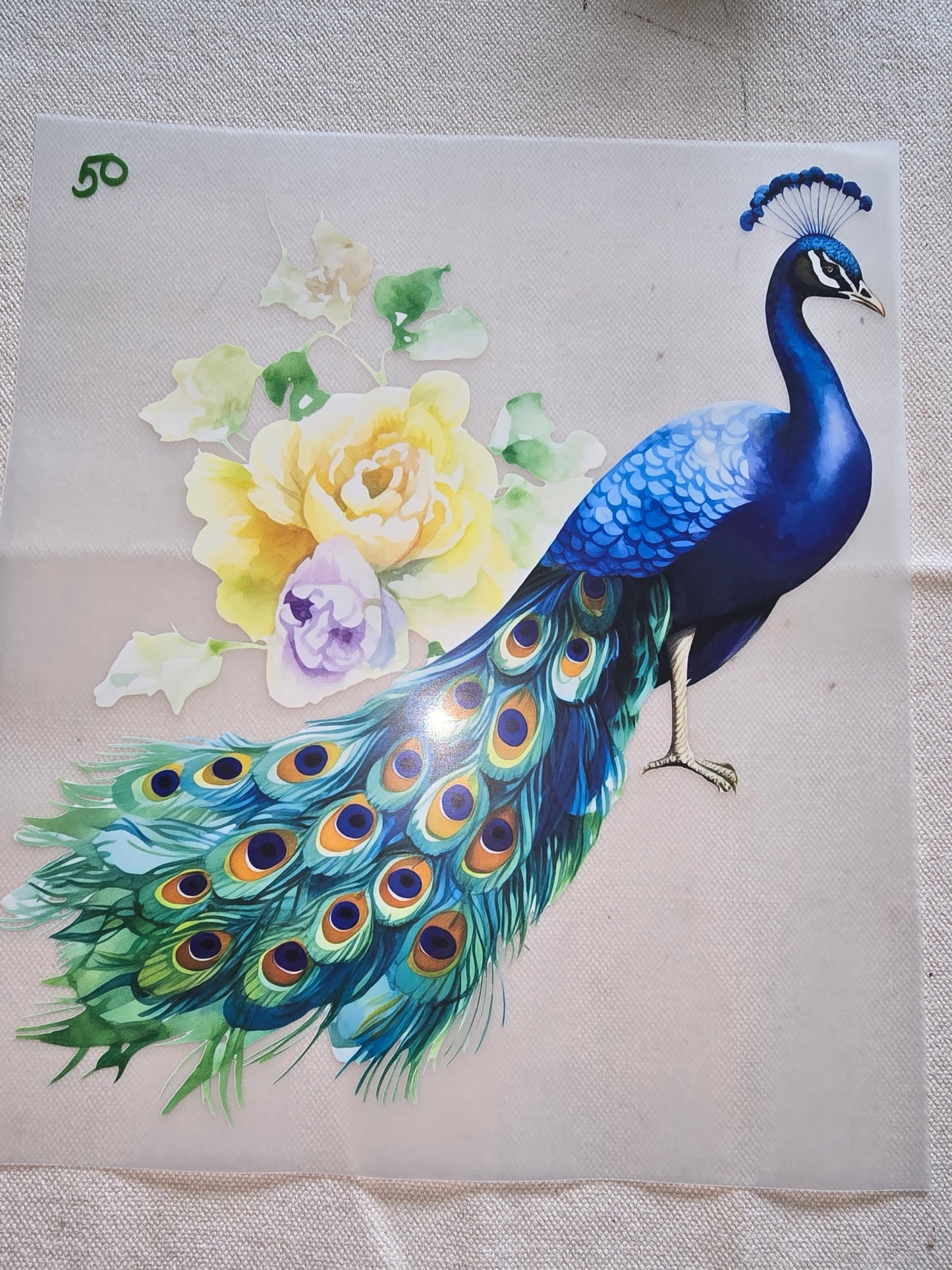 Heat Transfer - Chicken and other feathered friends