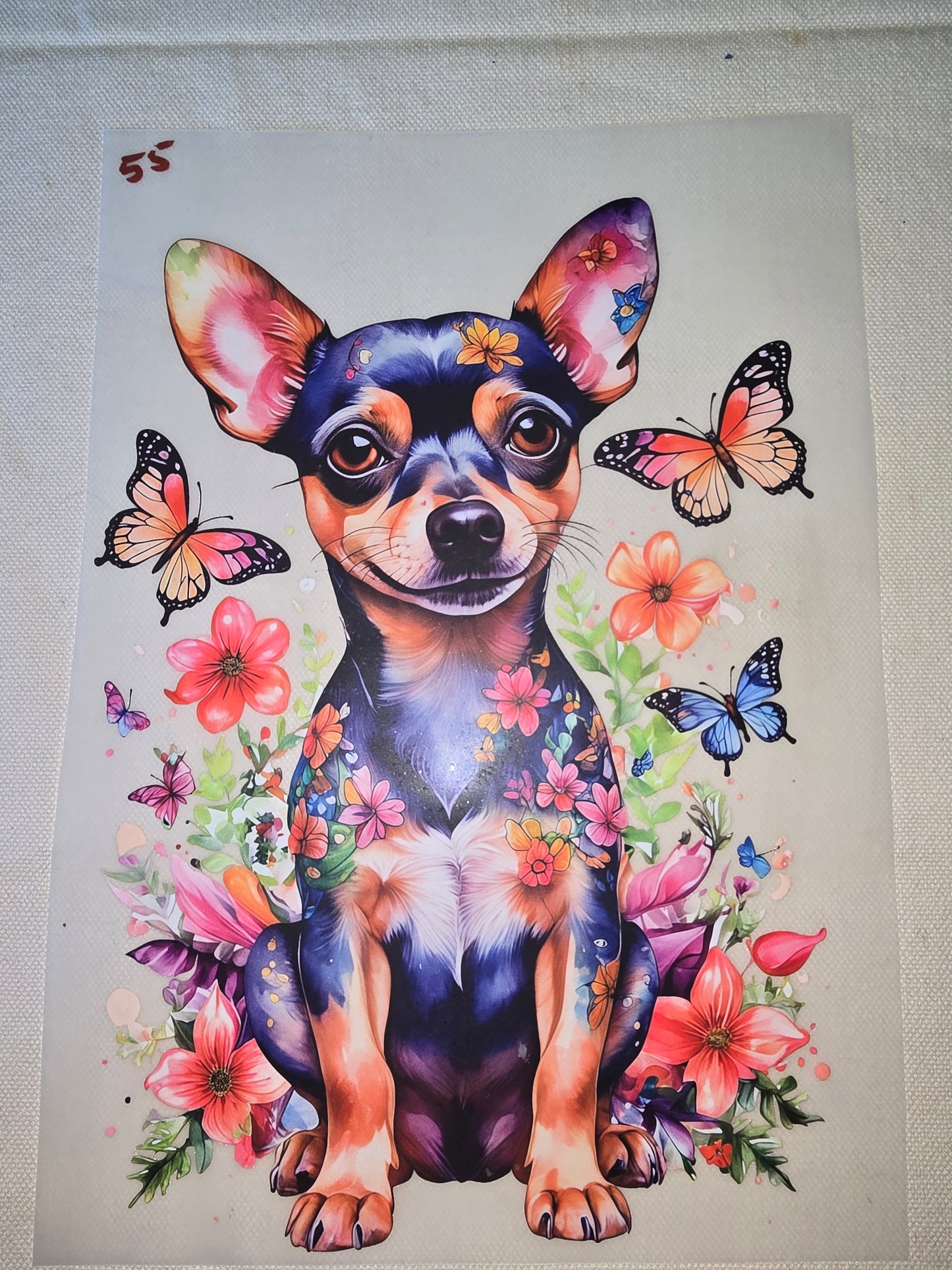 Heat Transfer - Dogs, Cats