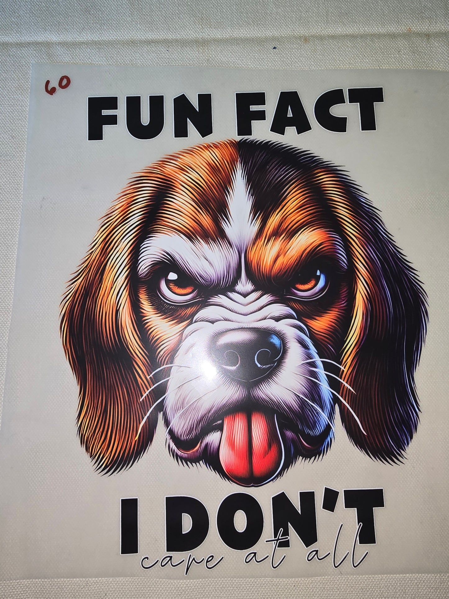 Heat Transfer - Dogs, Cats
