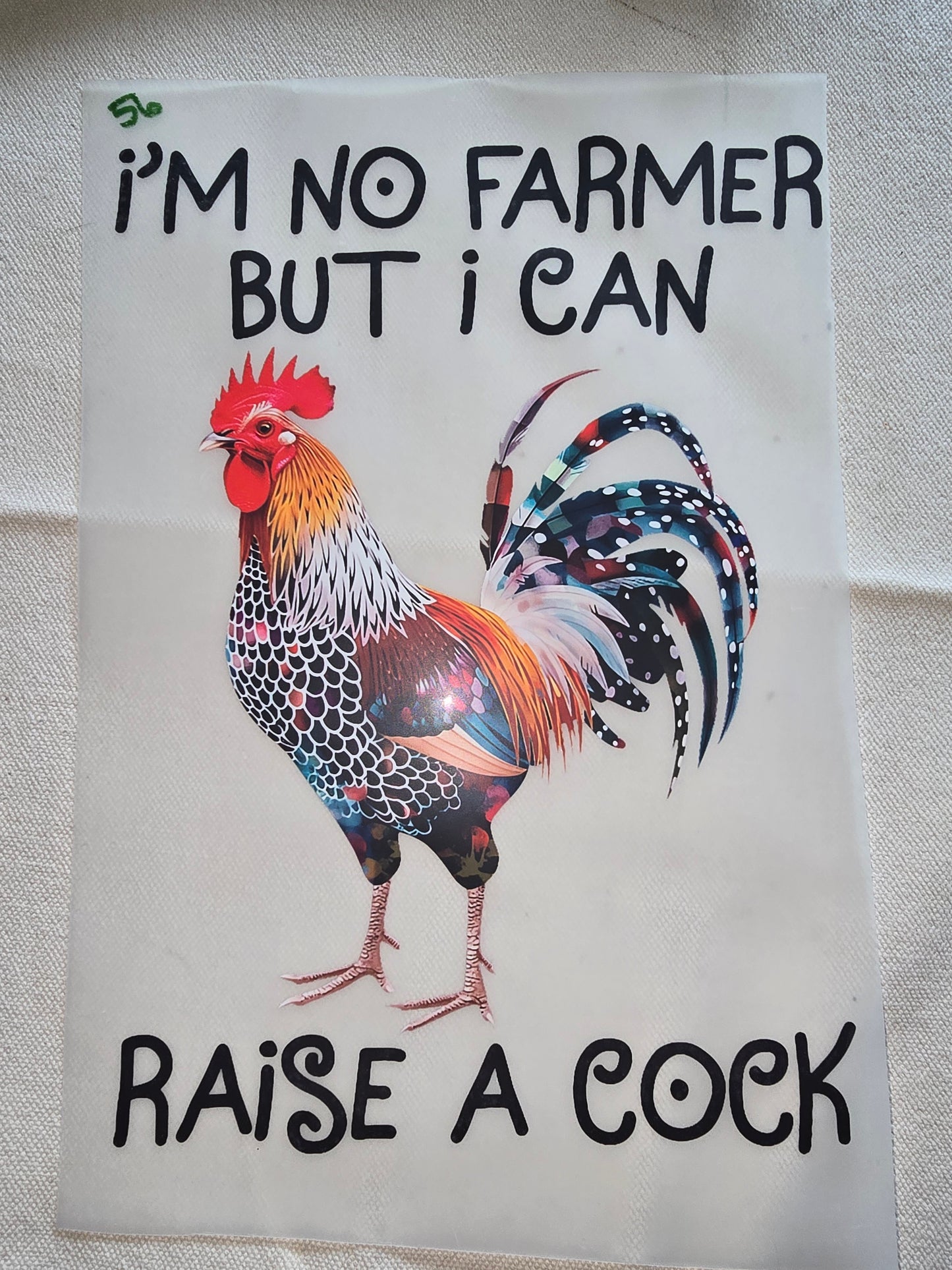 Heat Transfer - Chicken and other feathered friends