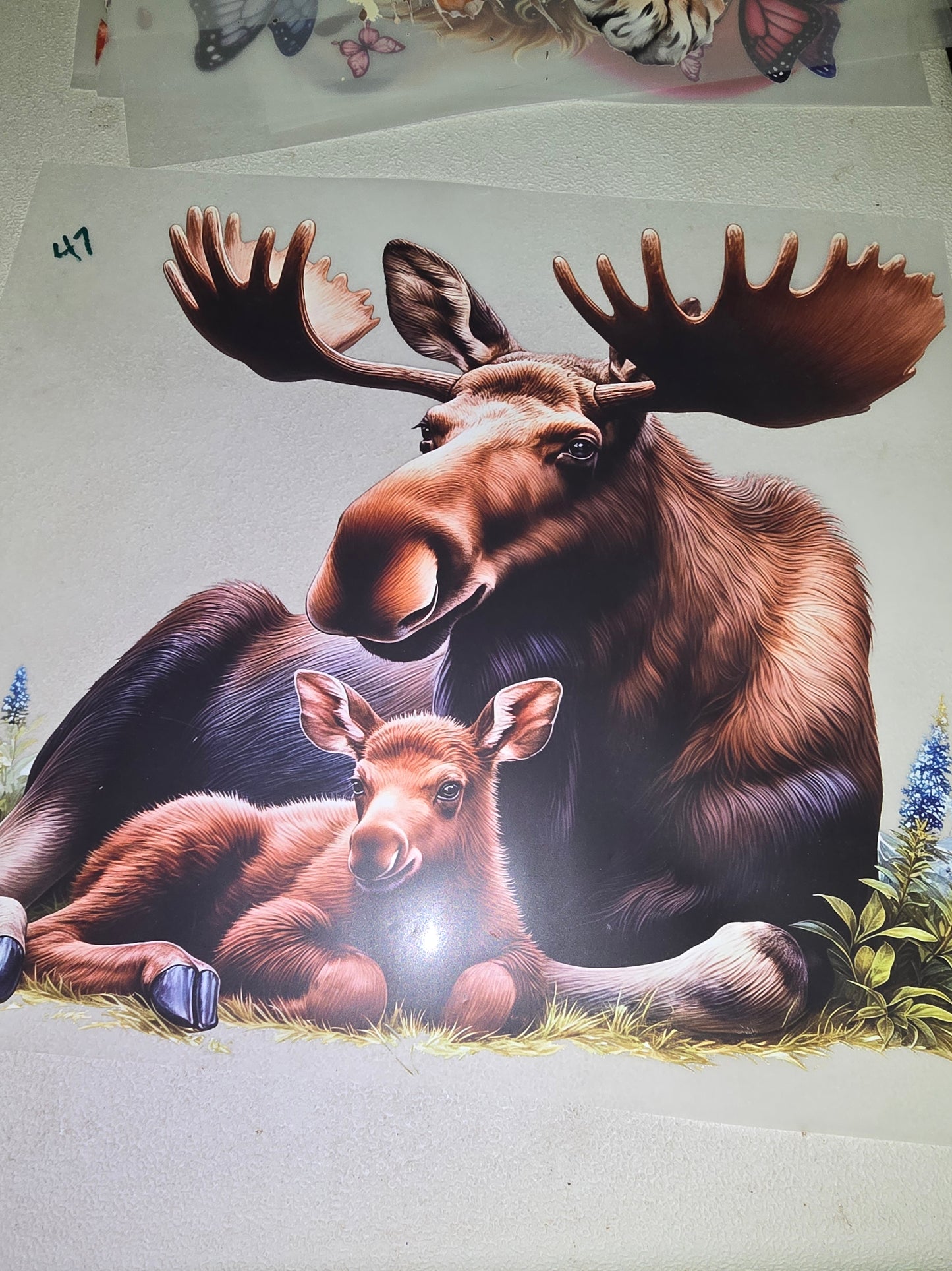 Heat Transfer - Other Animals