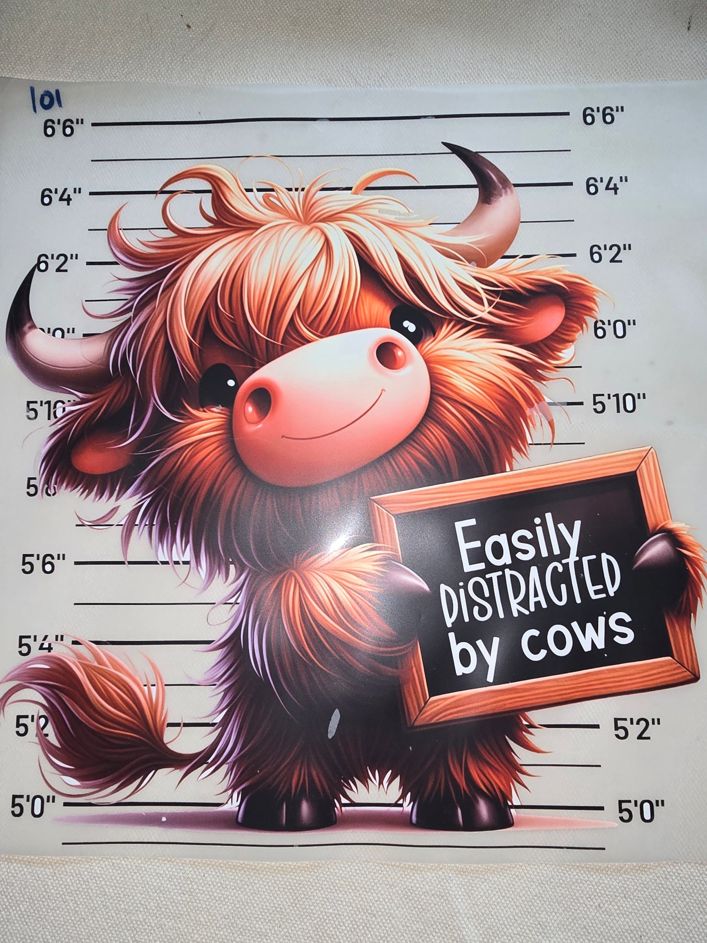 Heat Transfer - Cows, Horses
