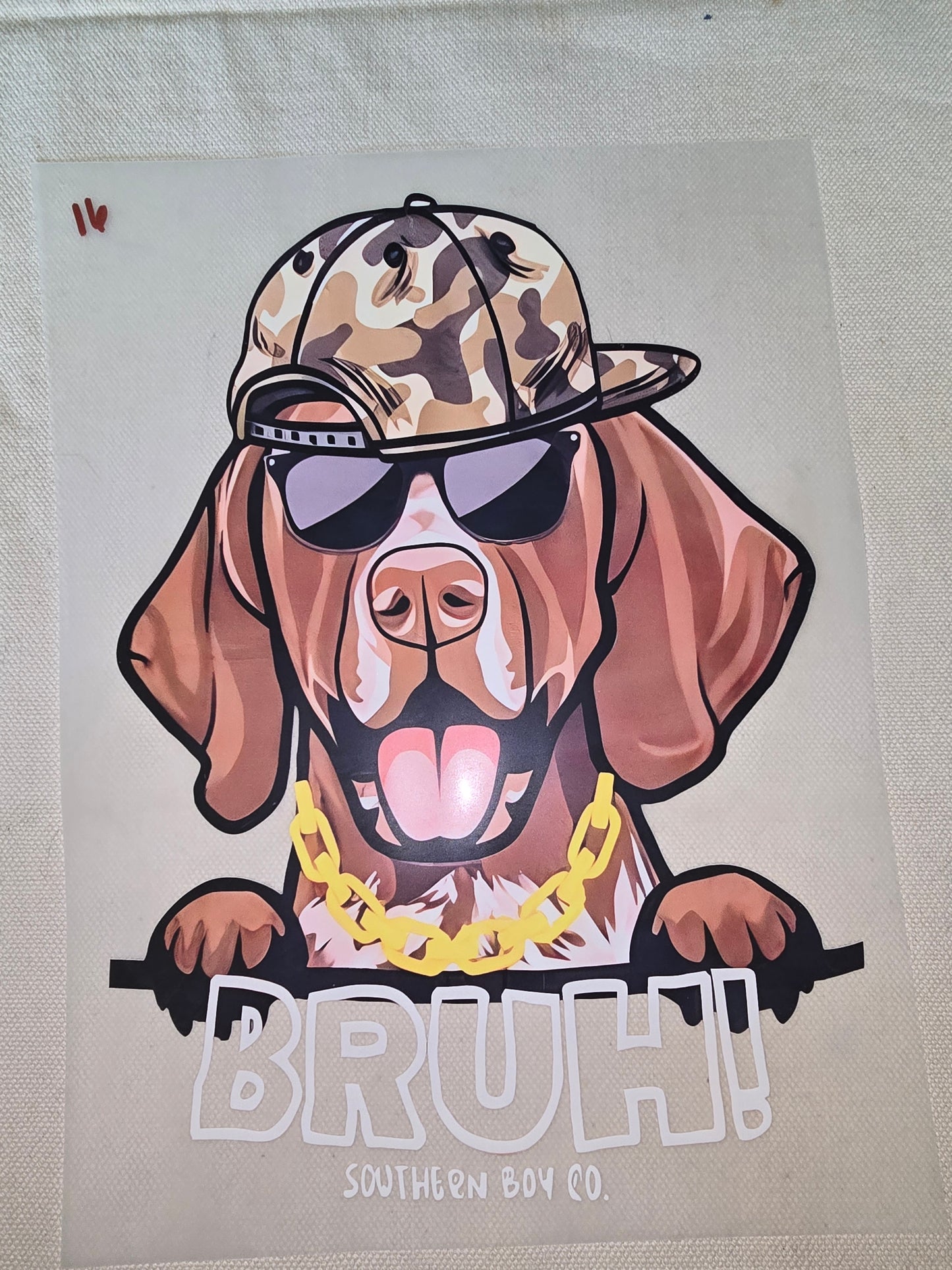 Heat Transfer - Dogs, Cats