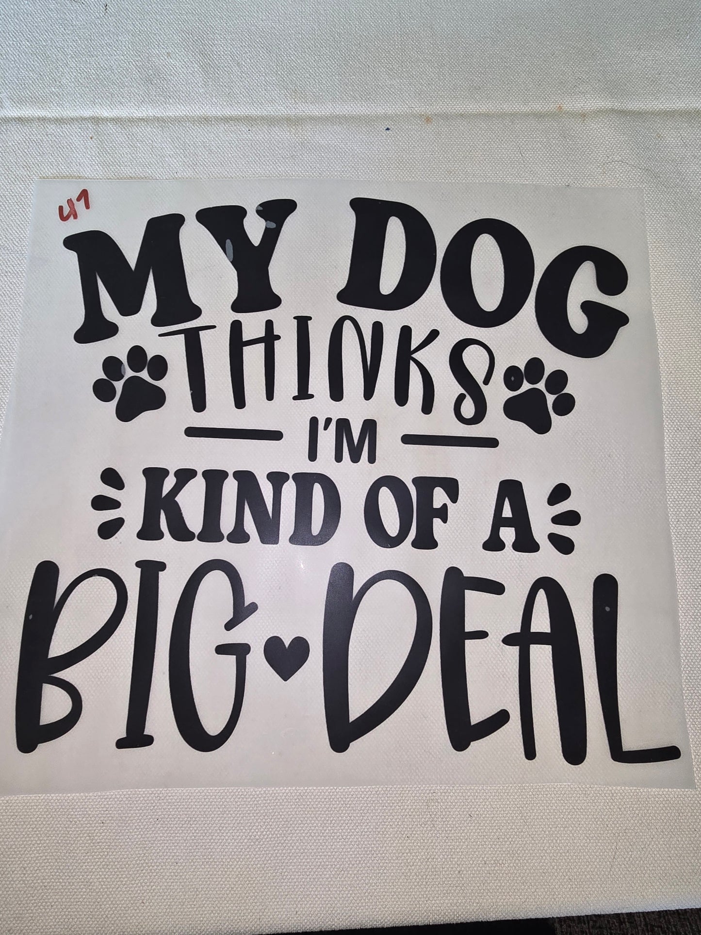 Heat Transfer - Dogs, Cats