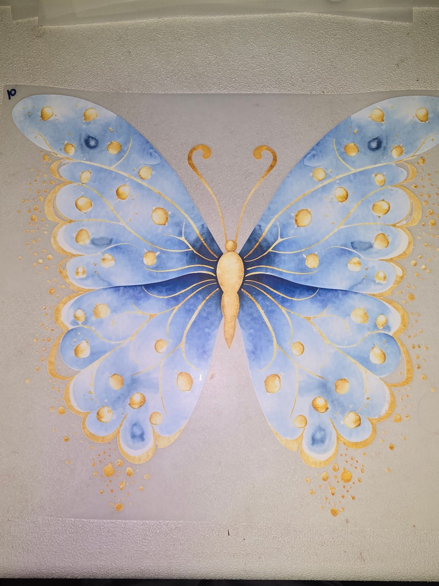 Heat Transfer - Bee, Butterfly, Dragonfly, Moth