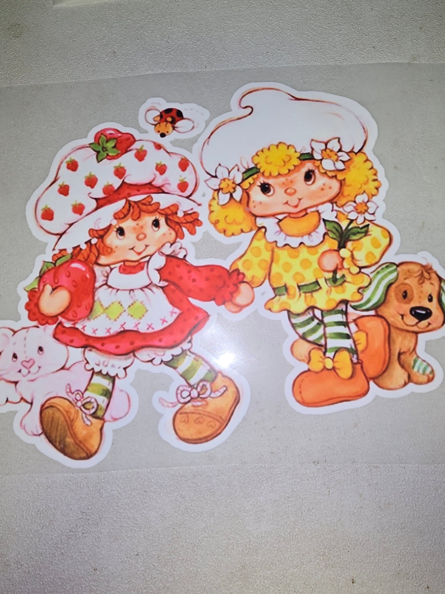 Heat Transfer - Rainbow Brite, Strawberry Shortcake, Care Bears, Smurfs