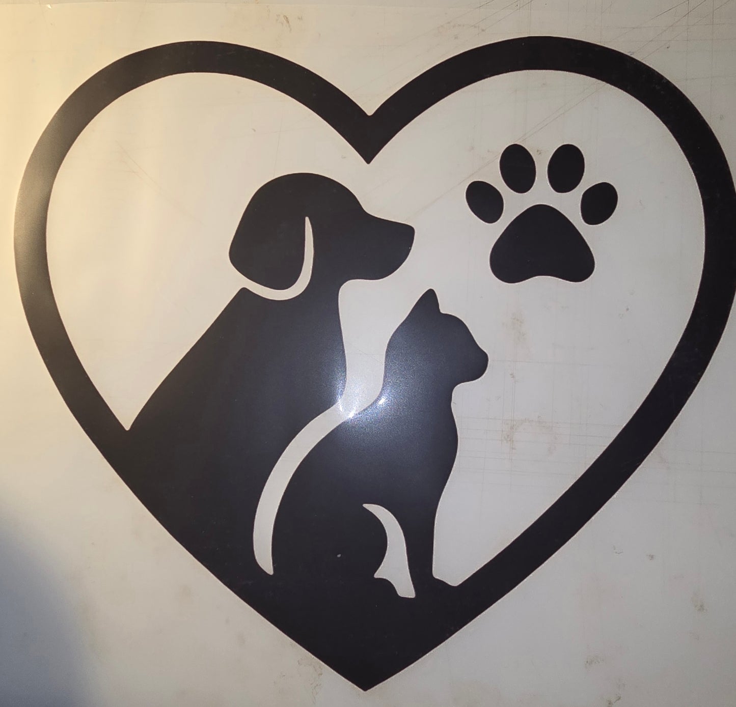 Heat Transfer - Dogs, Cats