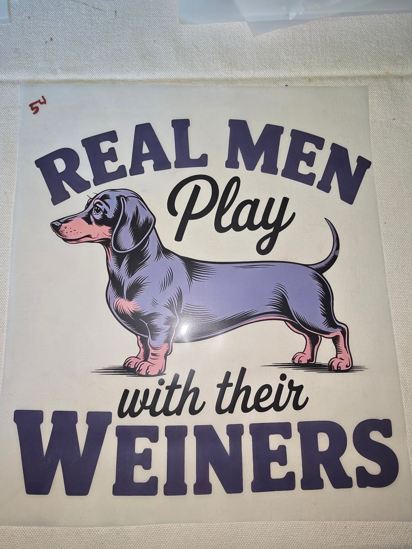 Heat Transfer - Dogs, Cats