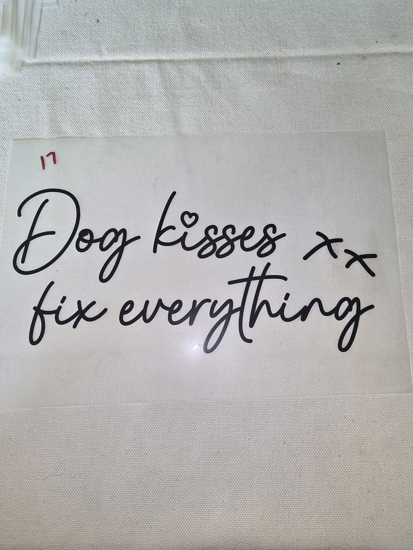 Heat Transfer - Dogs, Cats