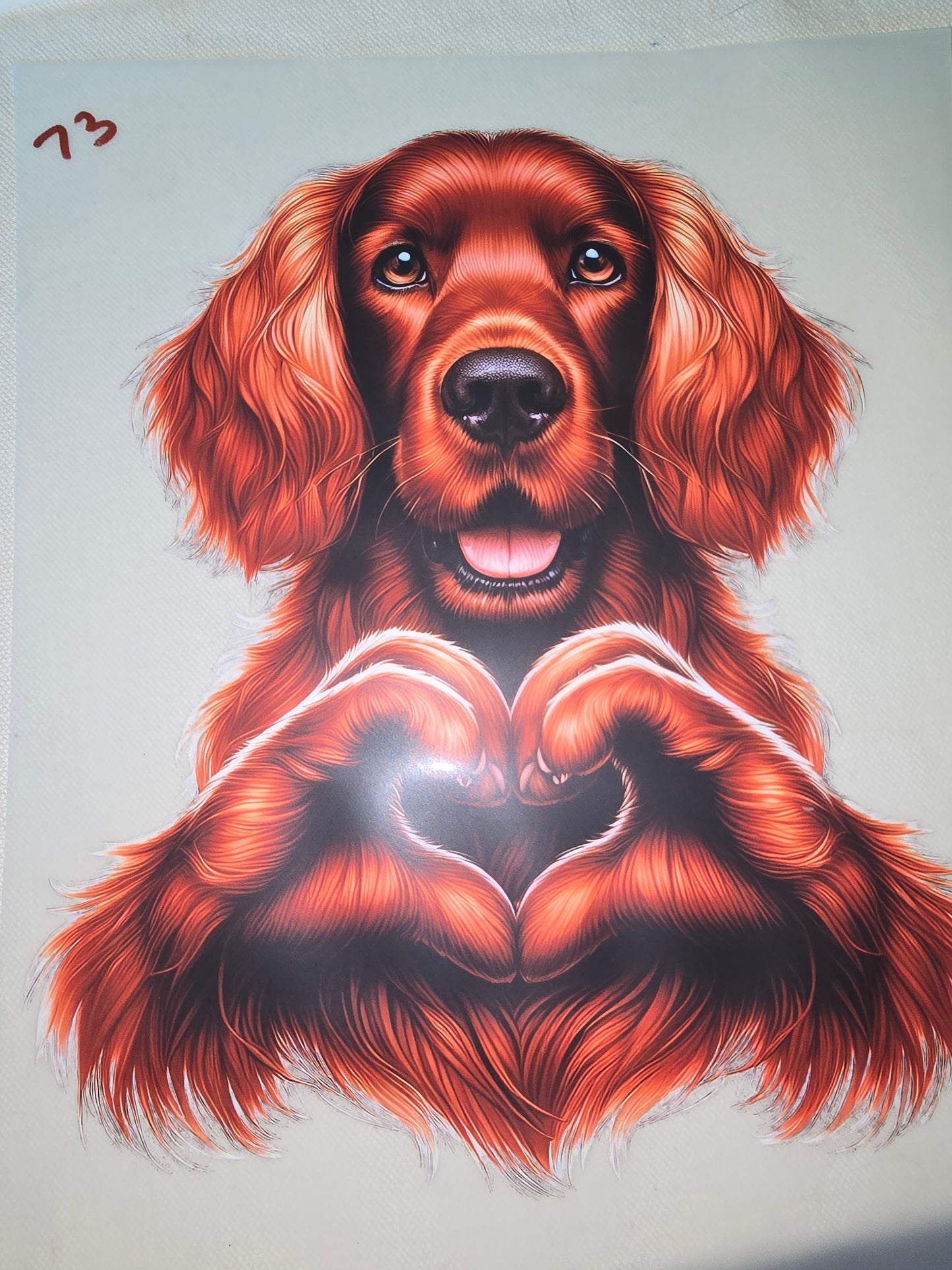 Heat Transfer - Dogs, Cats