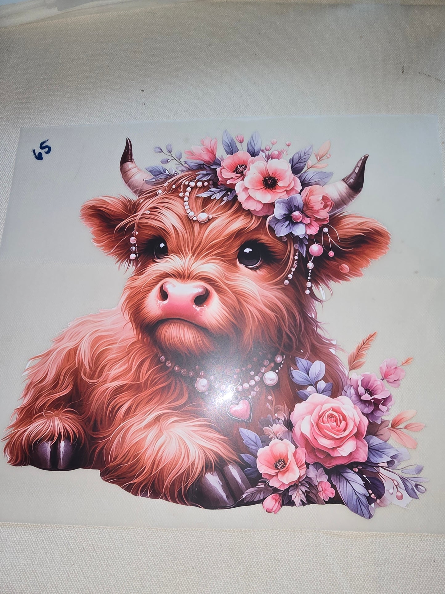 Heat Transfer - Cows, Horses
