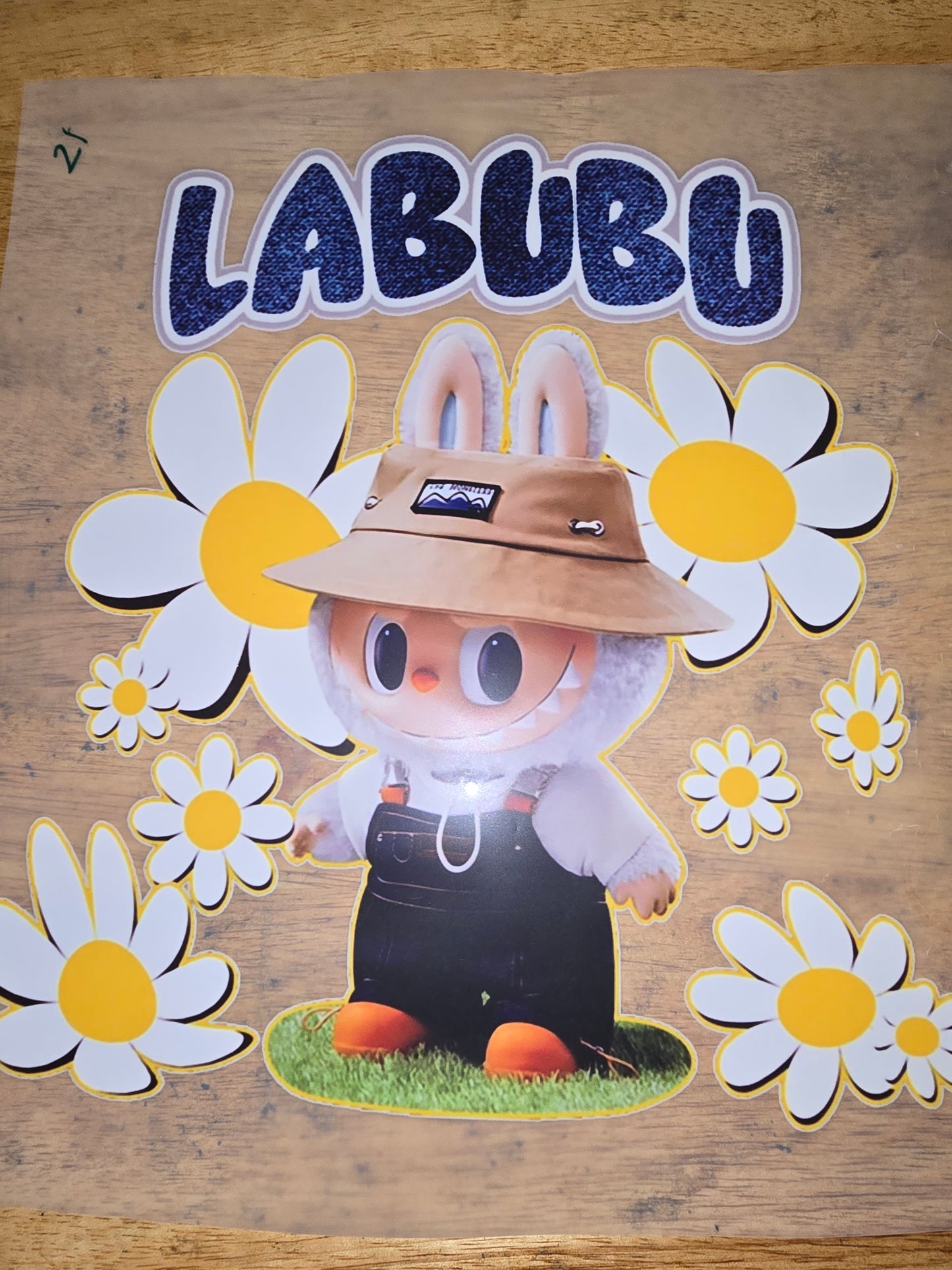Heat Transfer - Labubu
