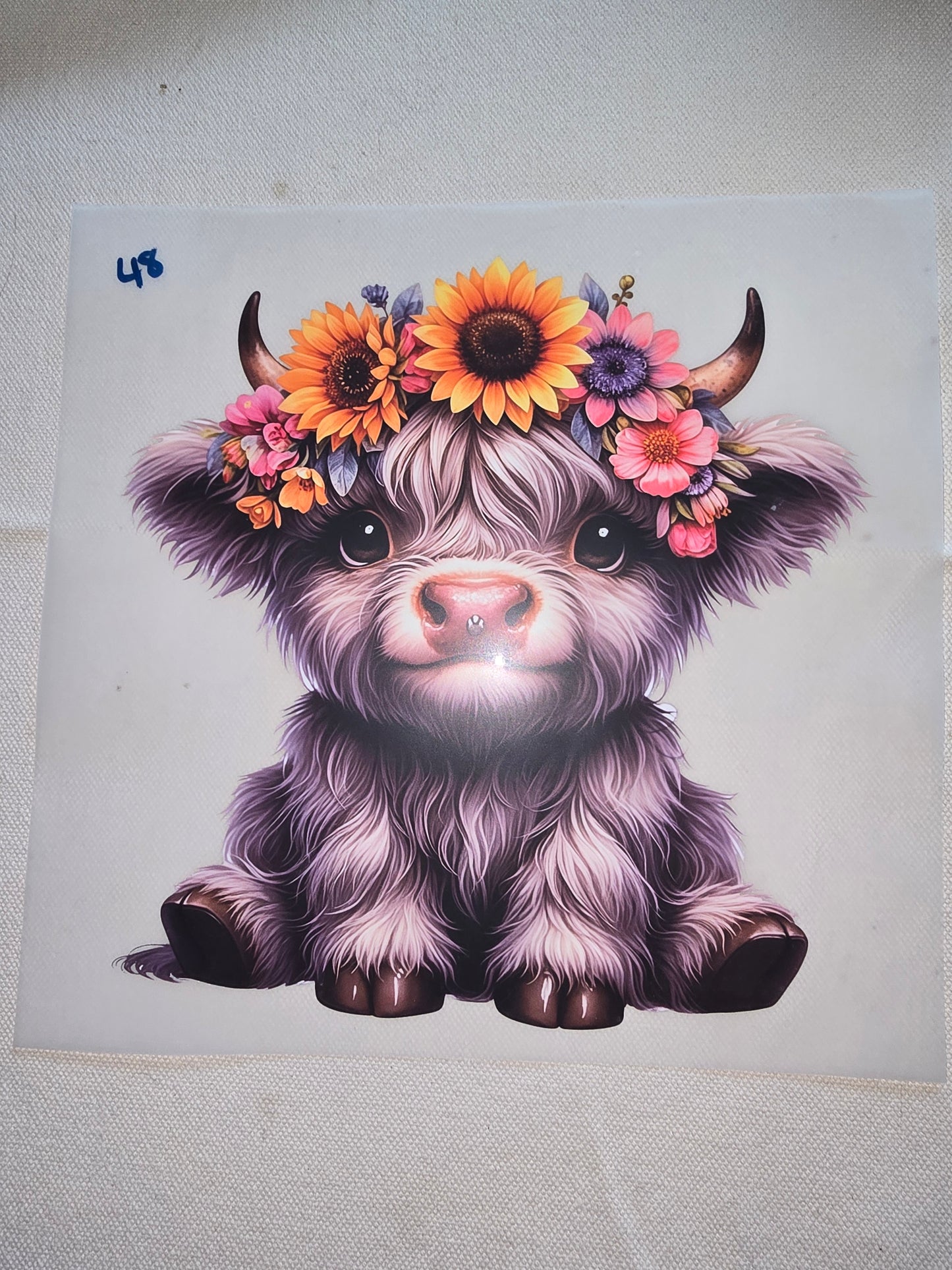 Heat Transfer - Cows, Horses