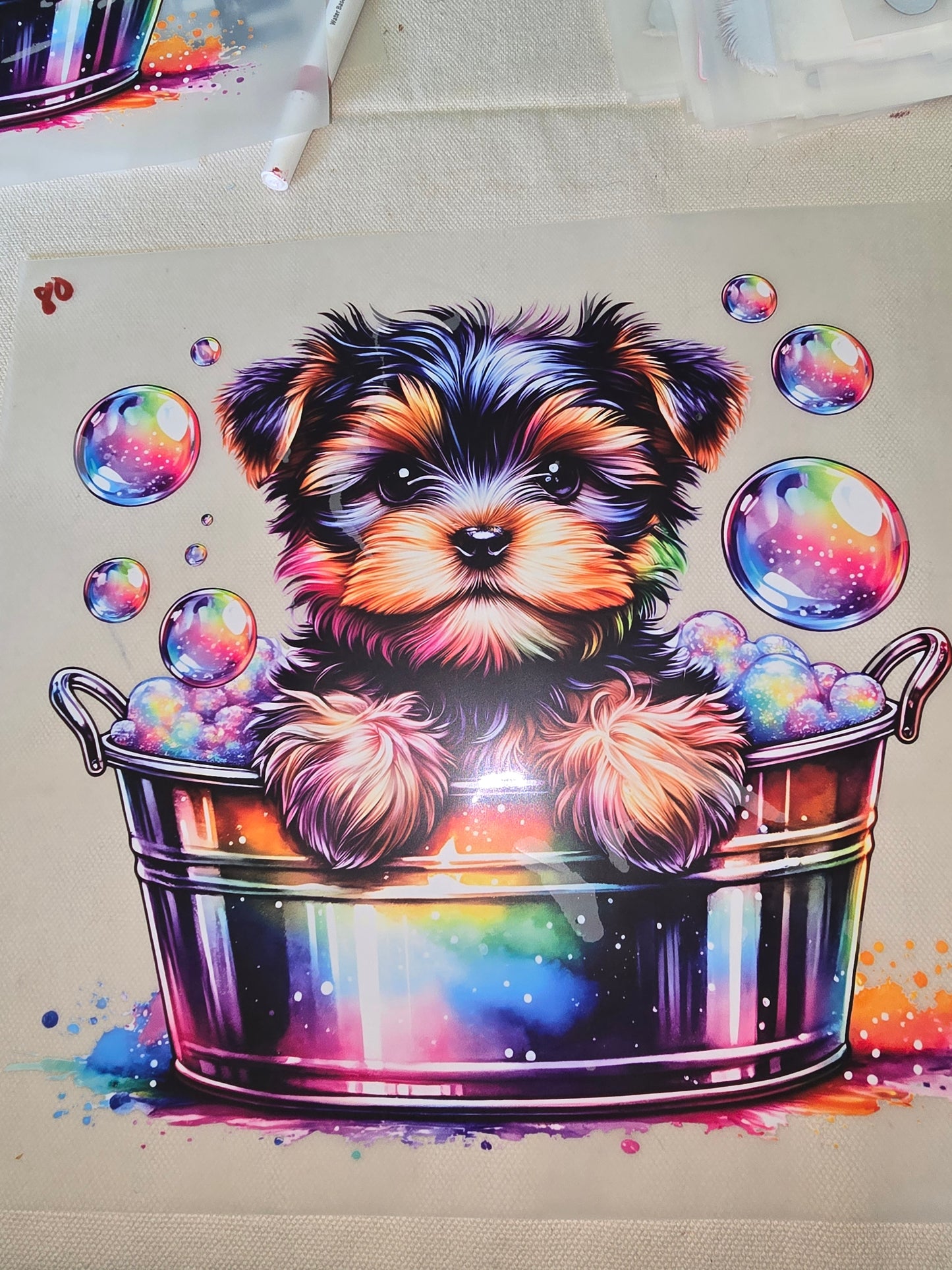 Heat Transfer - Dogs, Cats