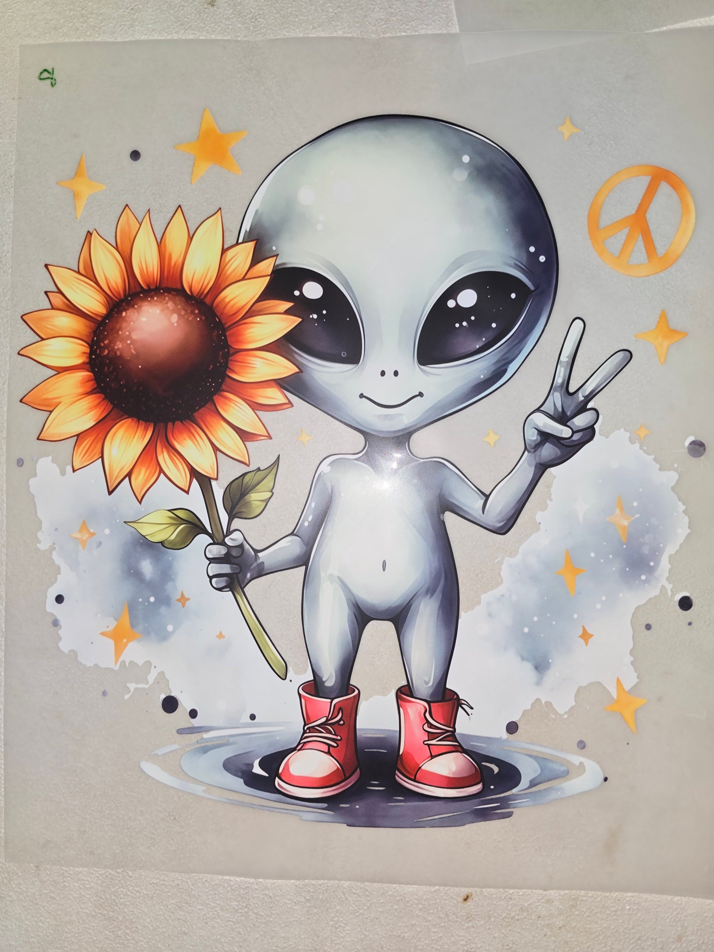 Heat Transfer - Adult Gardening, Swear Bears, Aliens