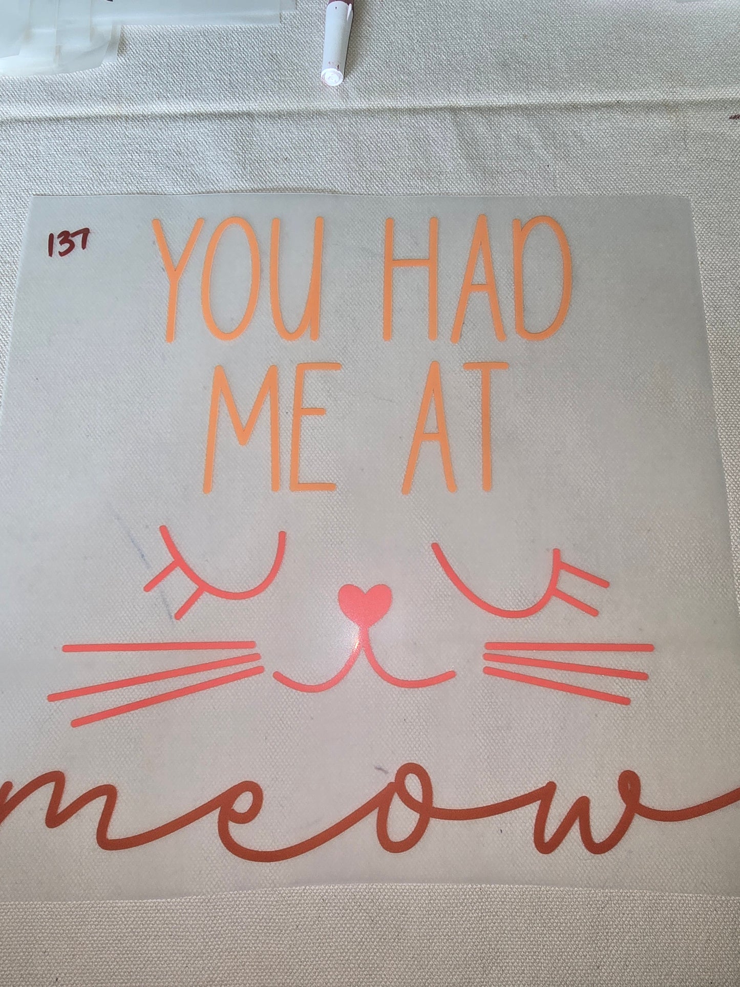 Heat Transfer - Dogs, Cats