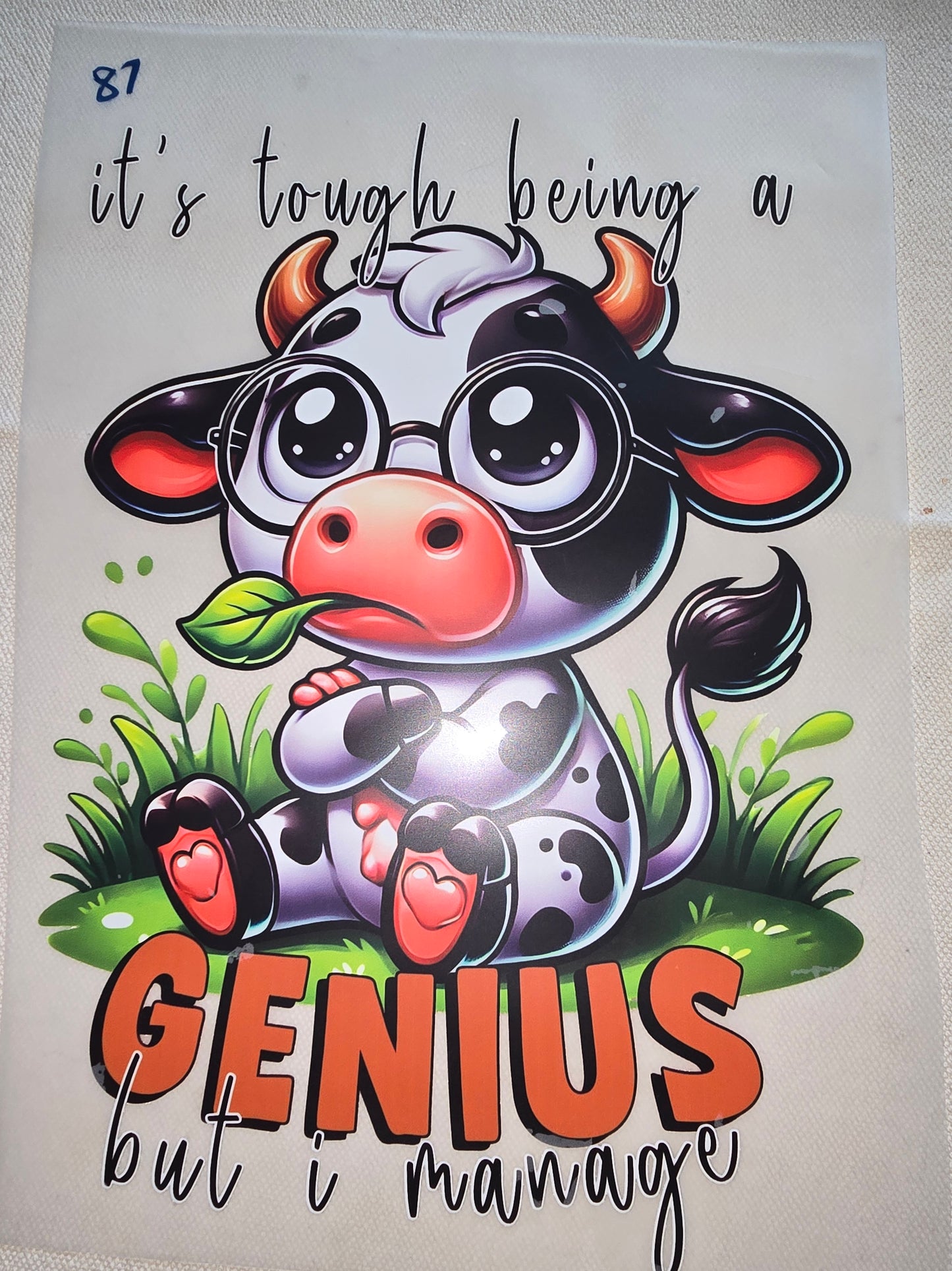 Heat Transfer - Cows, Horses