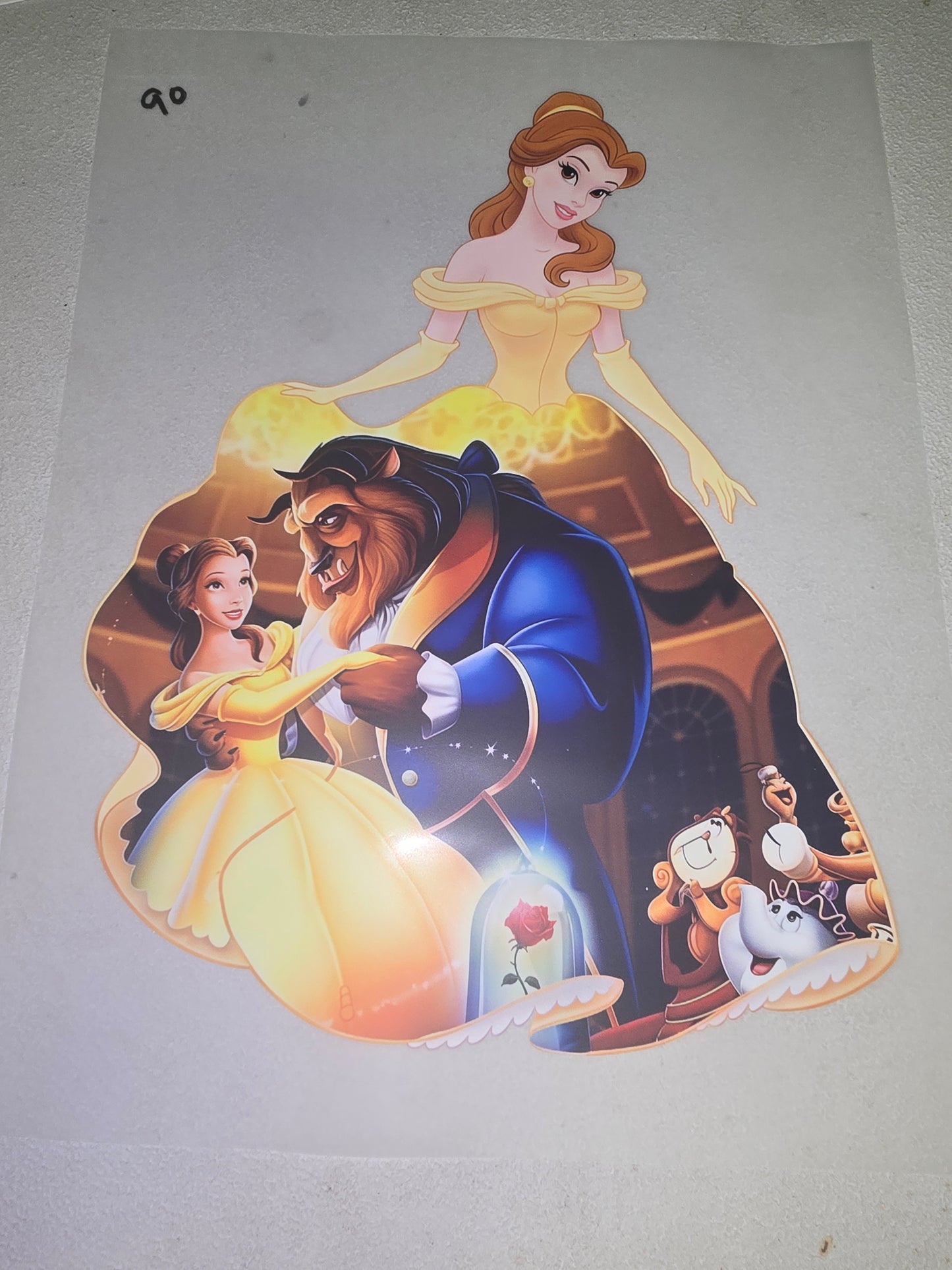 Heat Transfer - Disney