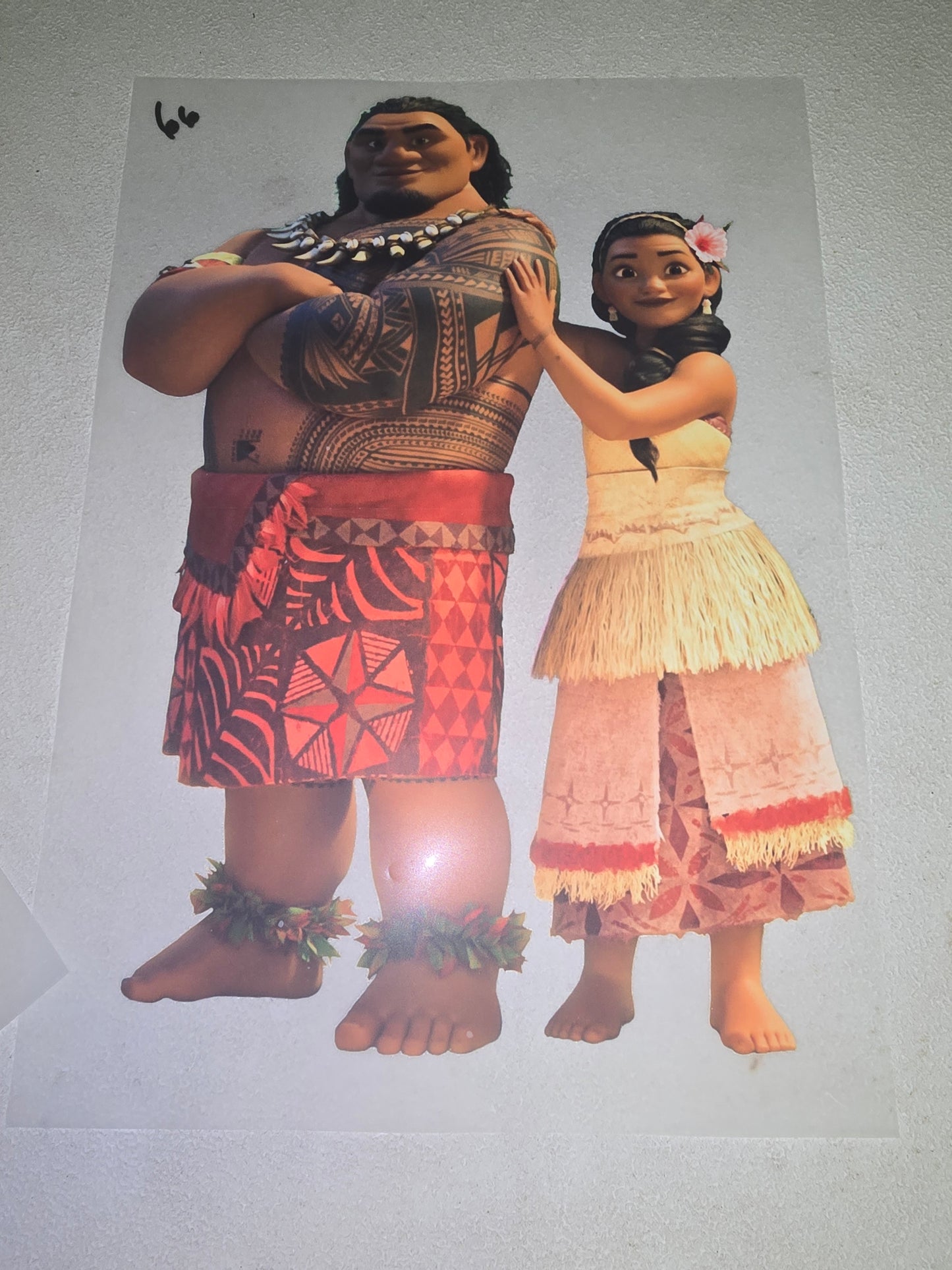 Heat Transfer - Disney