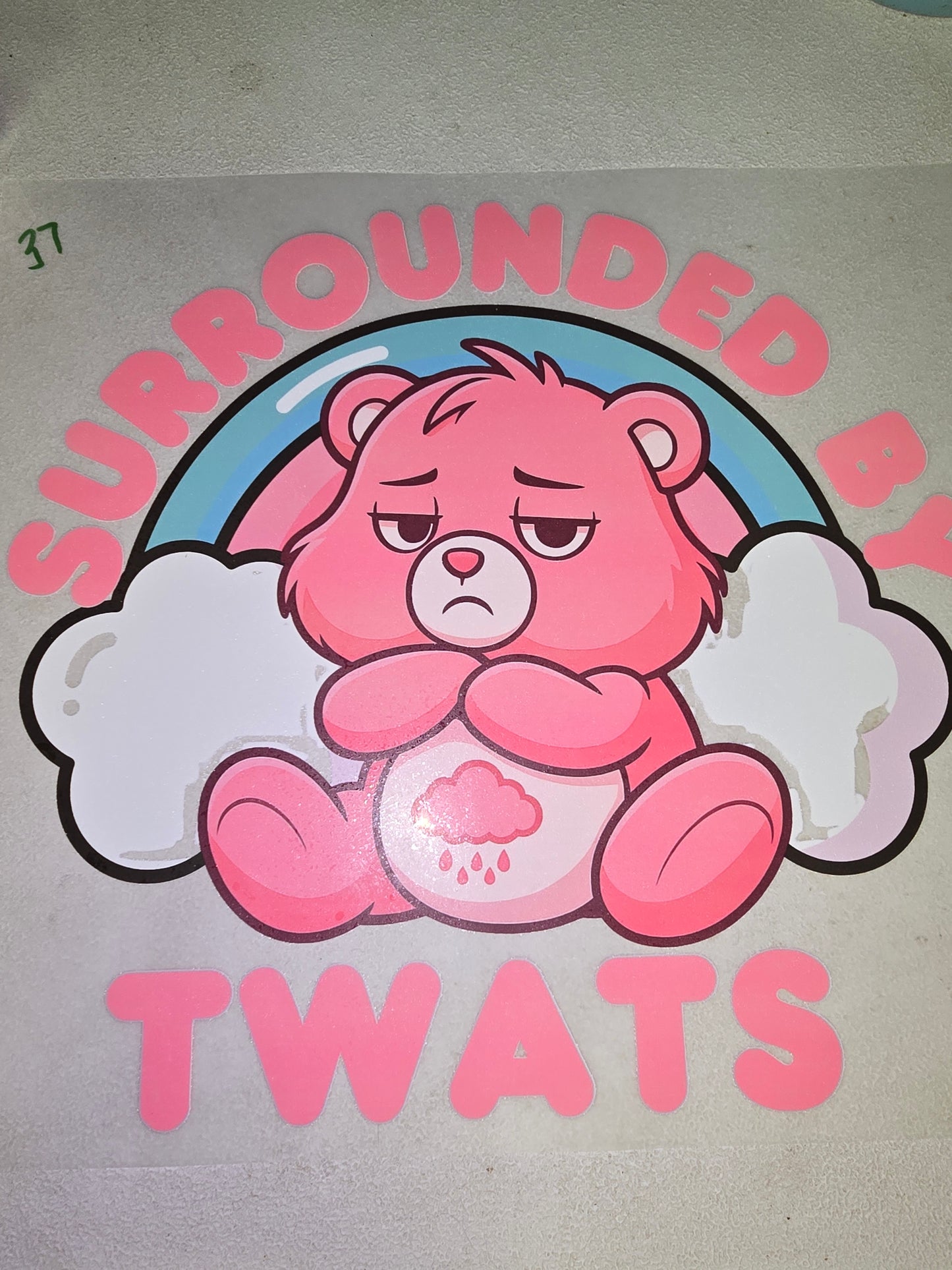 Heat Transfer - Adult Gardening, Swear Bears, Aliens