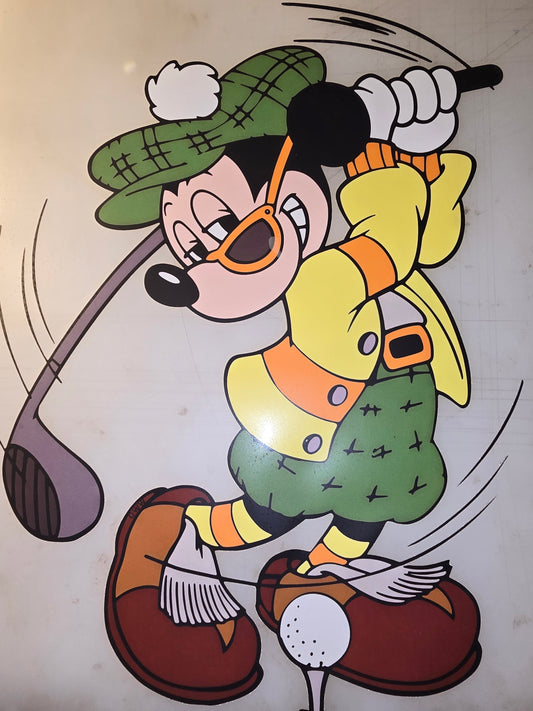 Heat Transfer - Disney