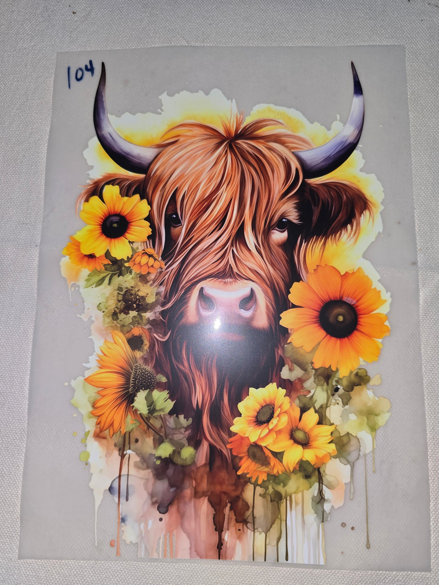 Heat Transfer - Cows, Horses