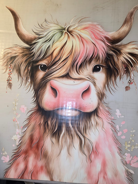 Heat Transfer - Cows, Horses