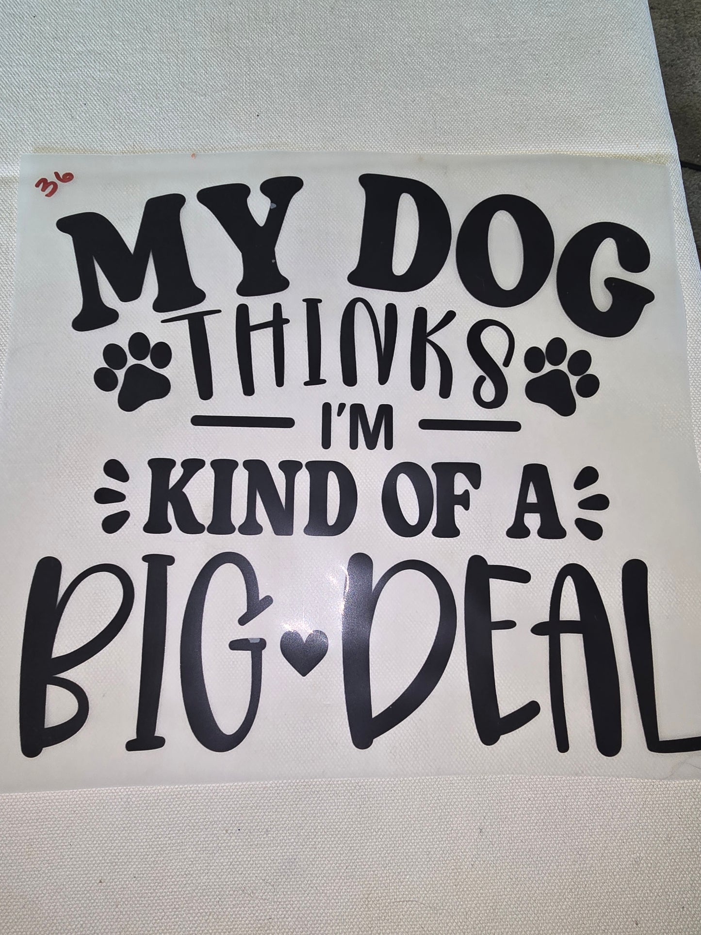 Heat Transfer - Dogs, Cats
