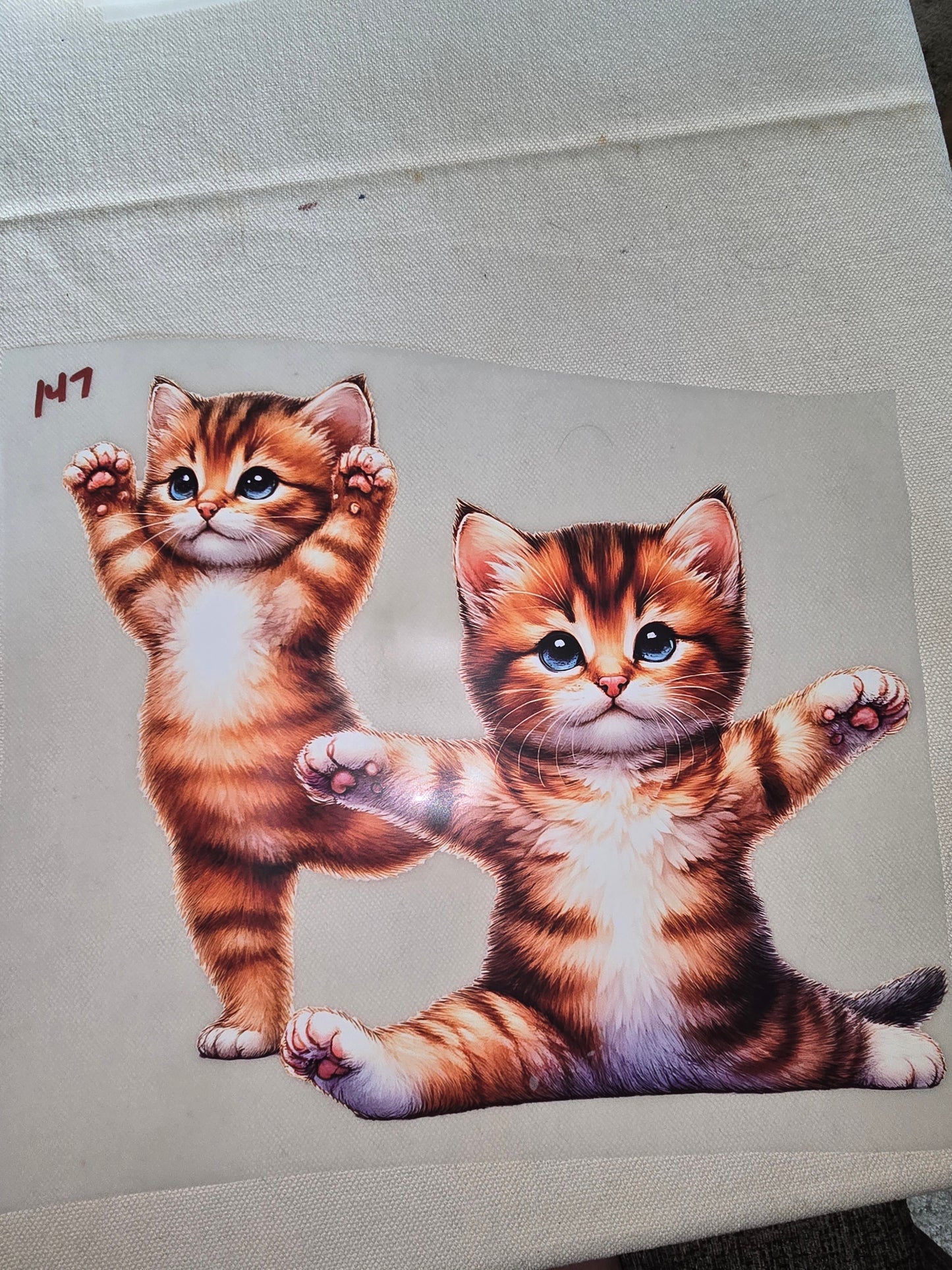 Heat Transfer - Dogs, Cats