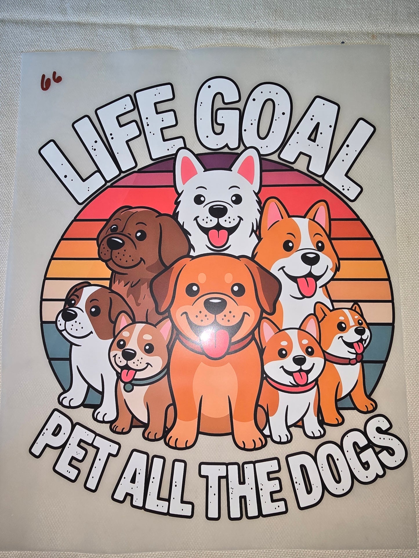 Heat Transfer - Dogs, Cats