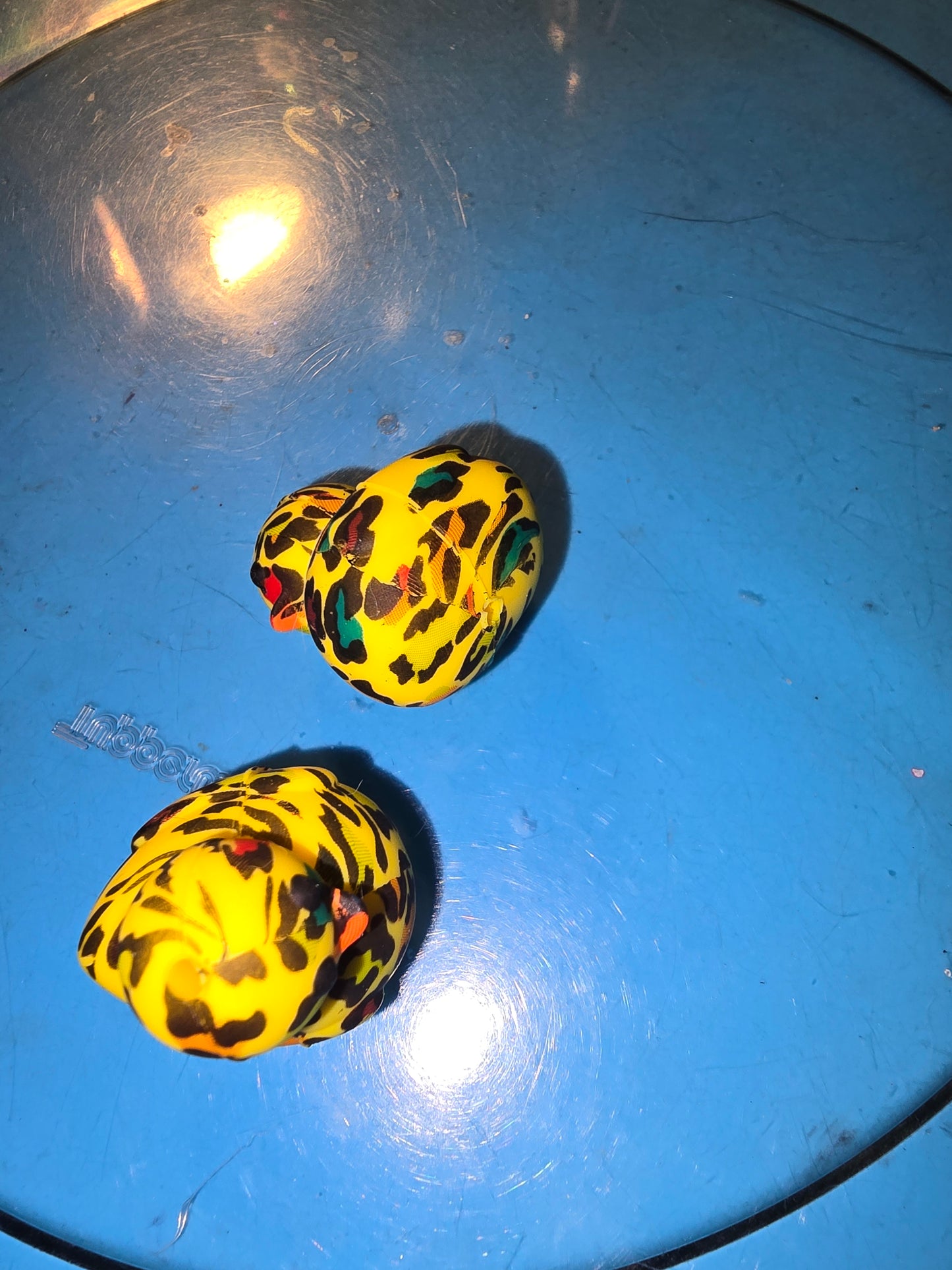 Silicone Focals Animals