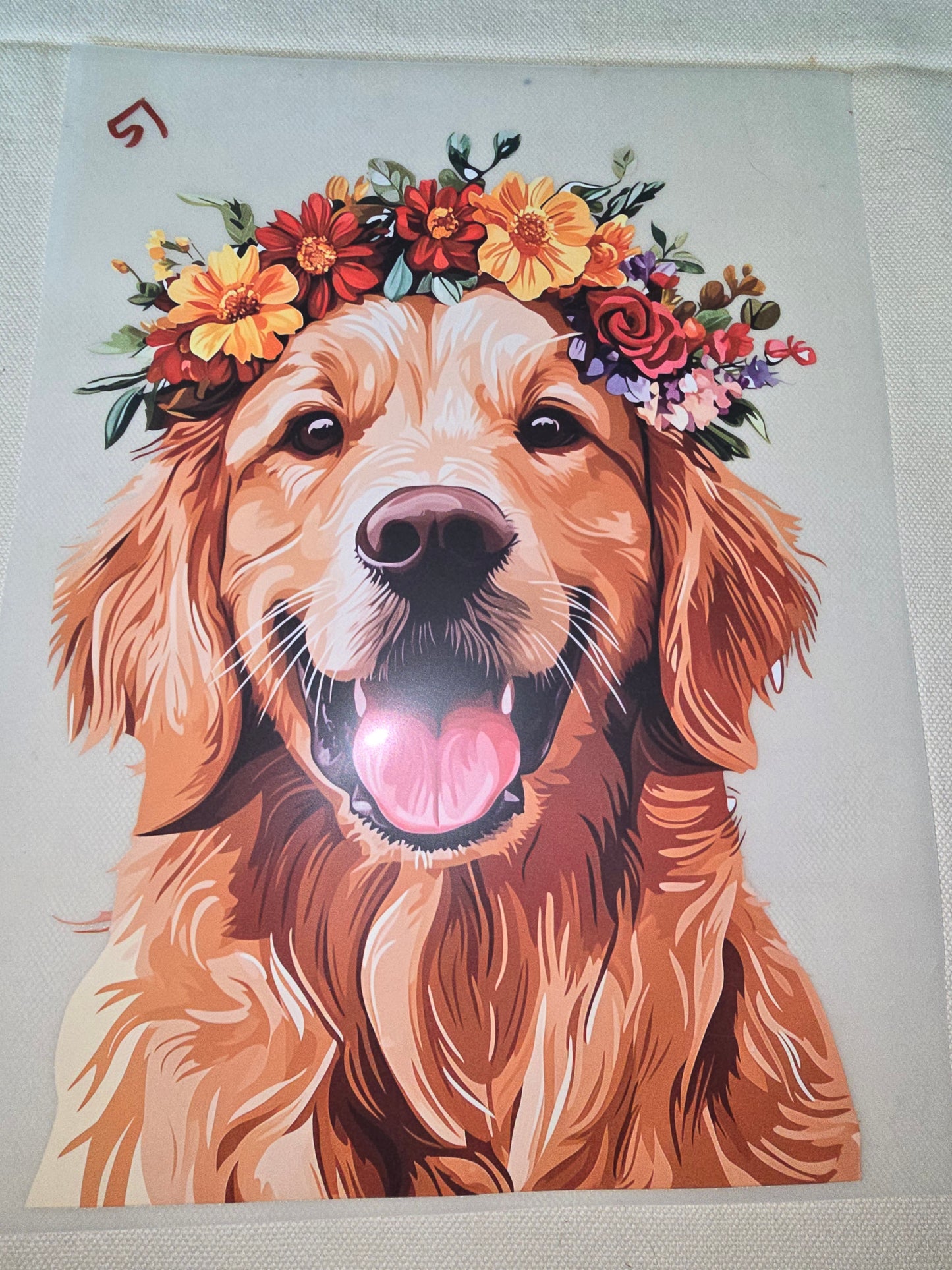 Heat Transfer - Dogs, Cats