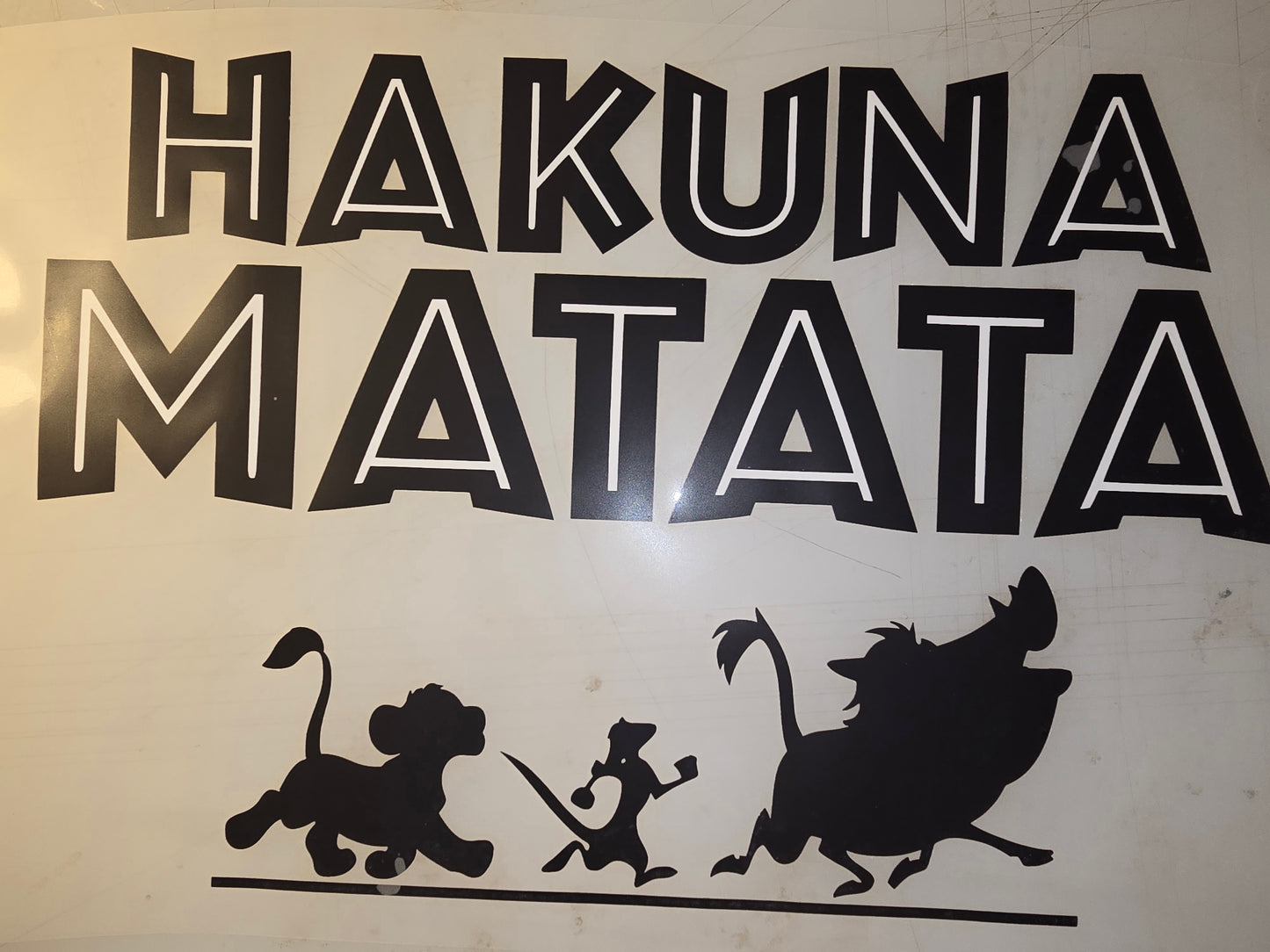 Heat Transfer - Disney
