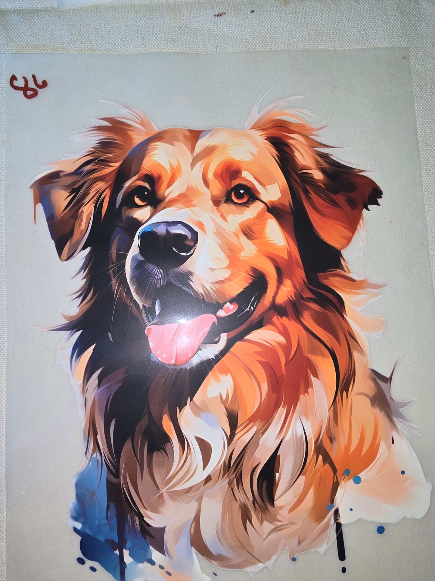 Heat Transfer - Dogs, Cats