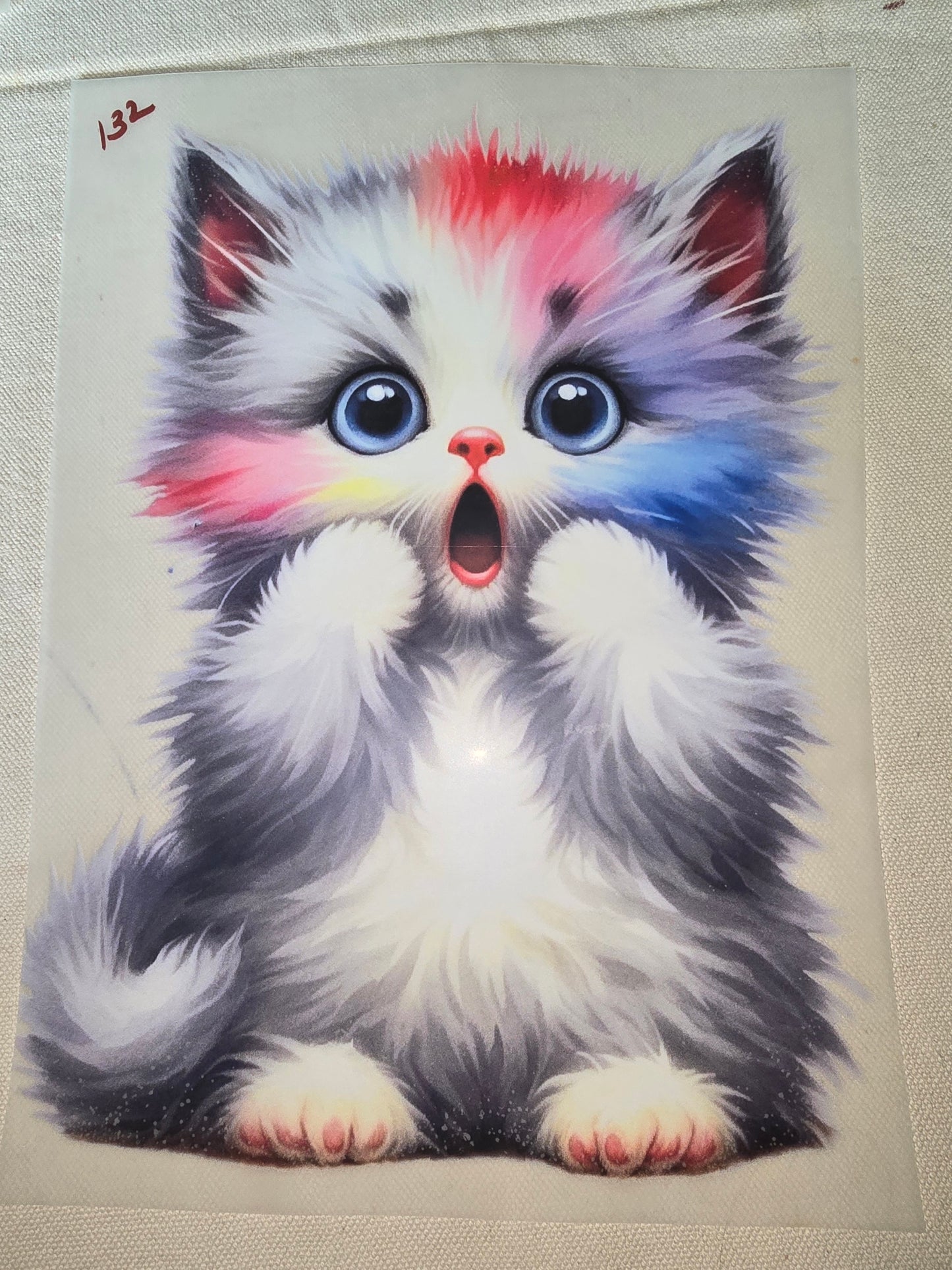 Heat Transfer - Dogs, Cats