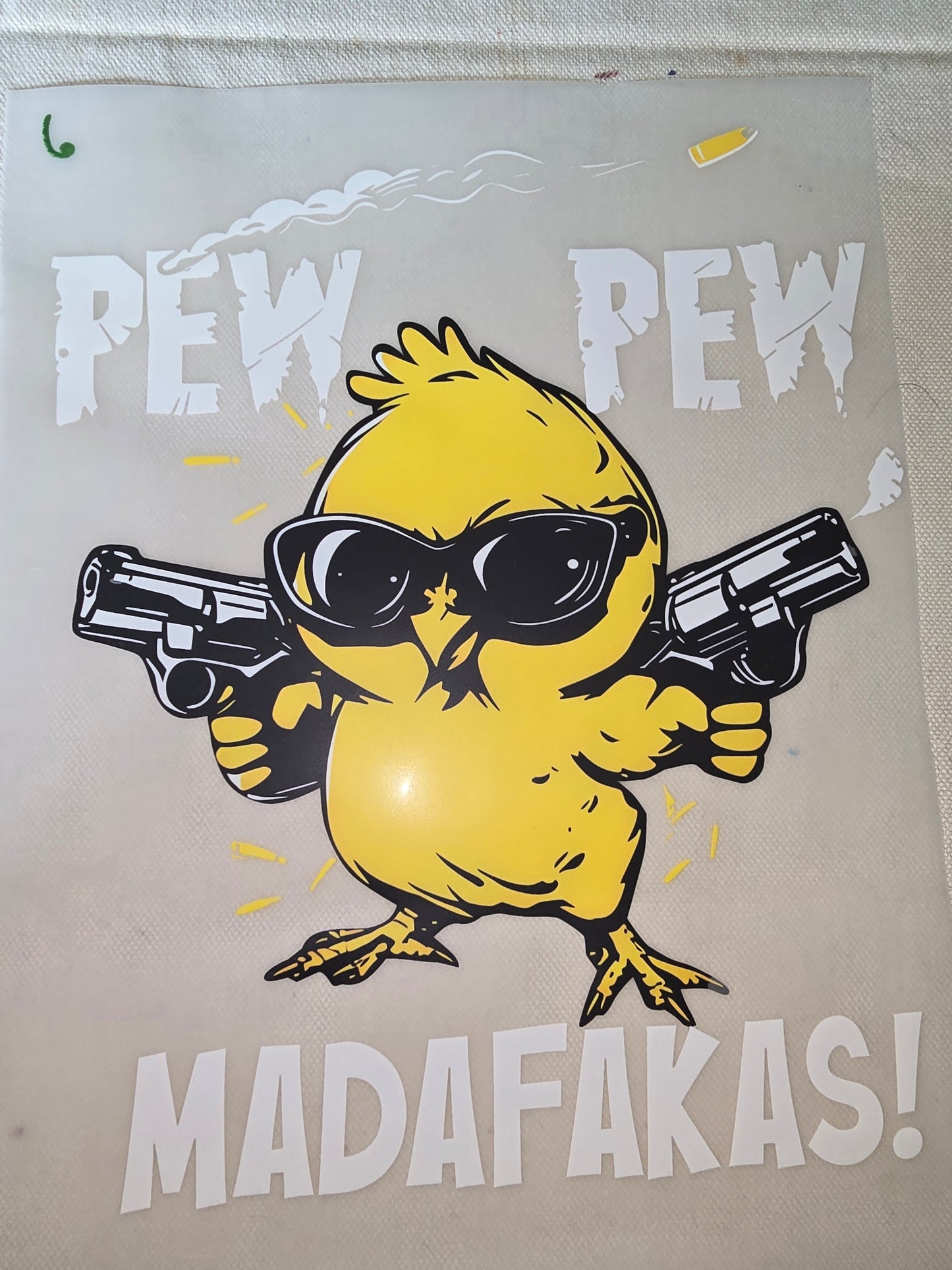 Heat Transfer - Chicken and other feathered friends