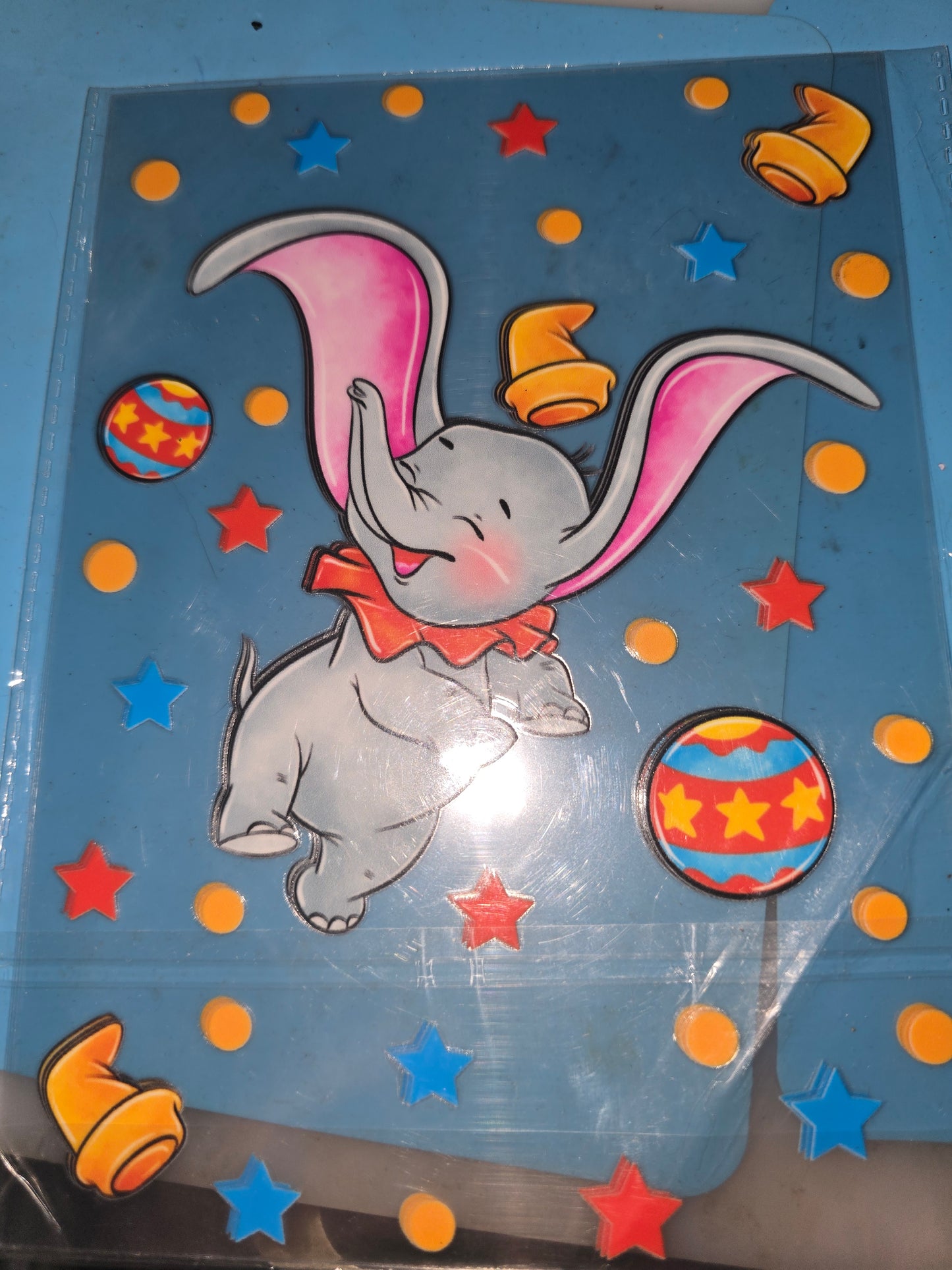 Binders/ Book Wraps