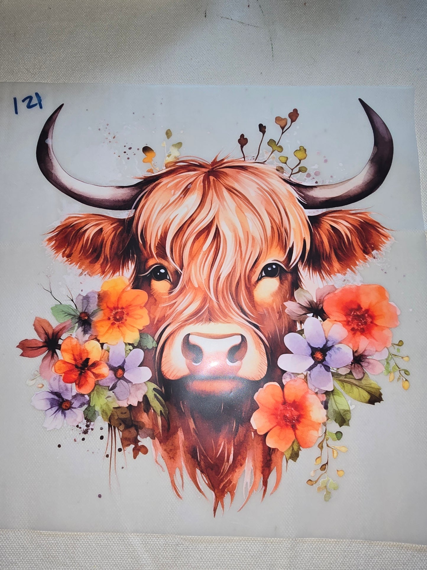 Heat Transfer - Cows, Horses