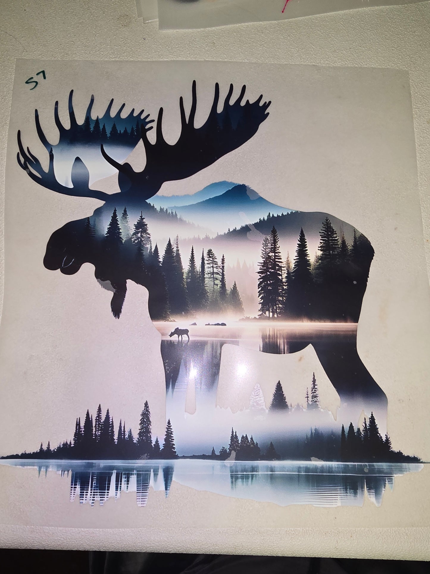 Heat Transfer - Other Animals