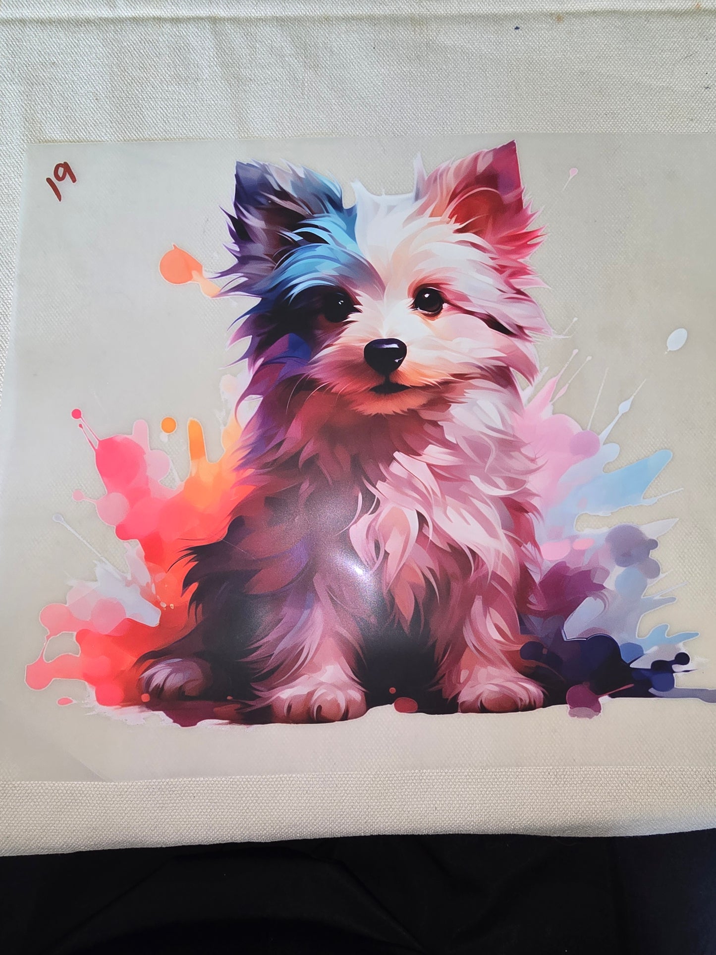 Heat Transfer - Dogs, Cats