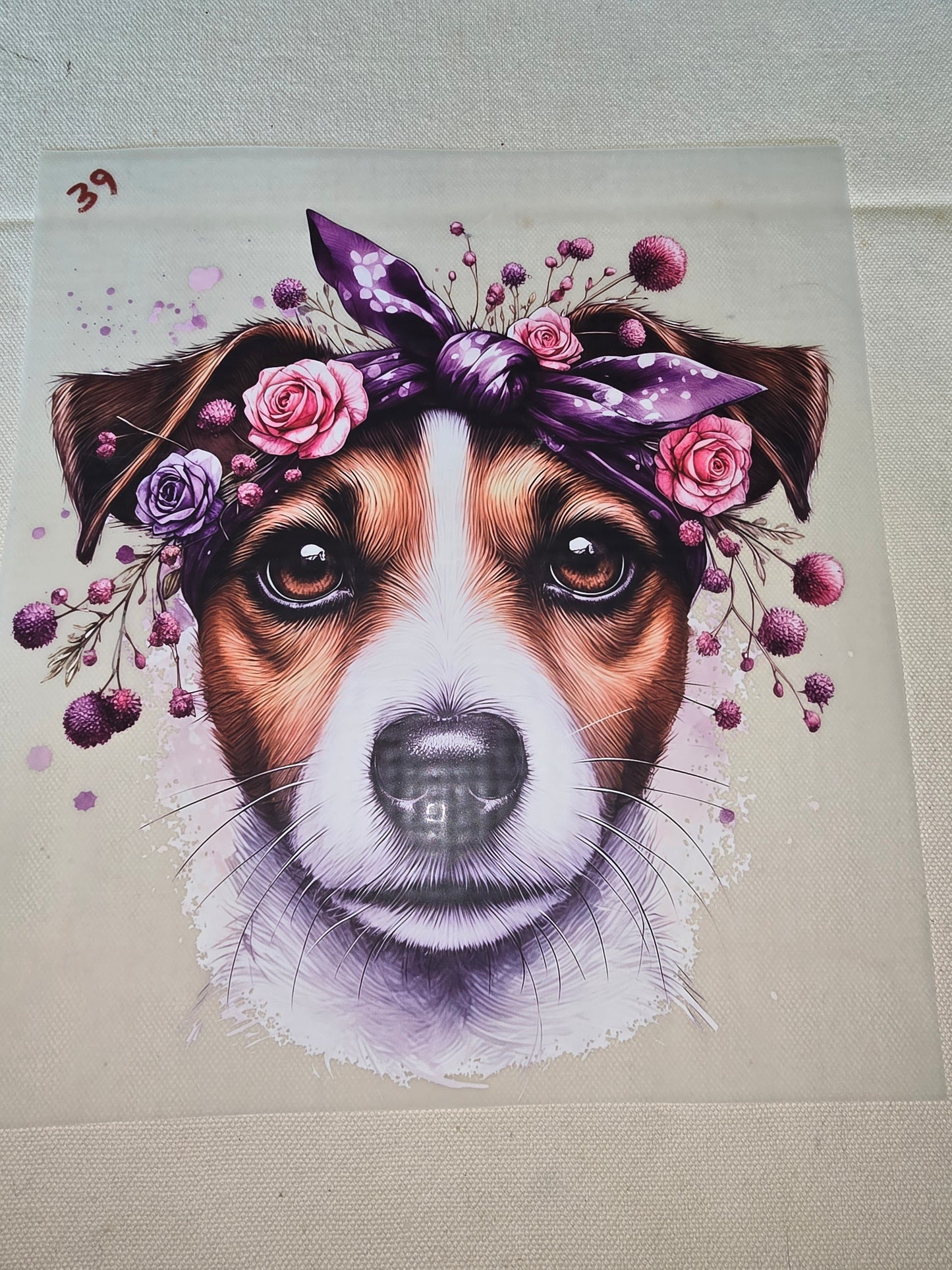 Heat Transfer - Dogs, Cats