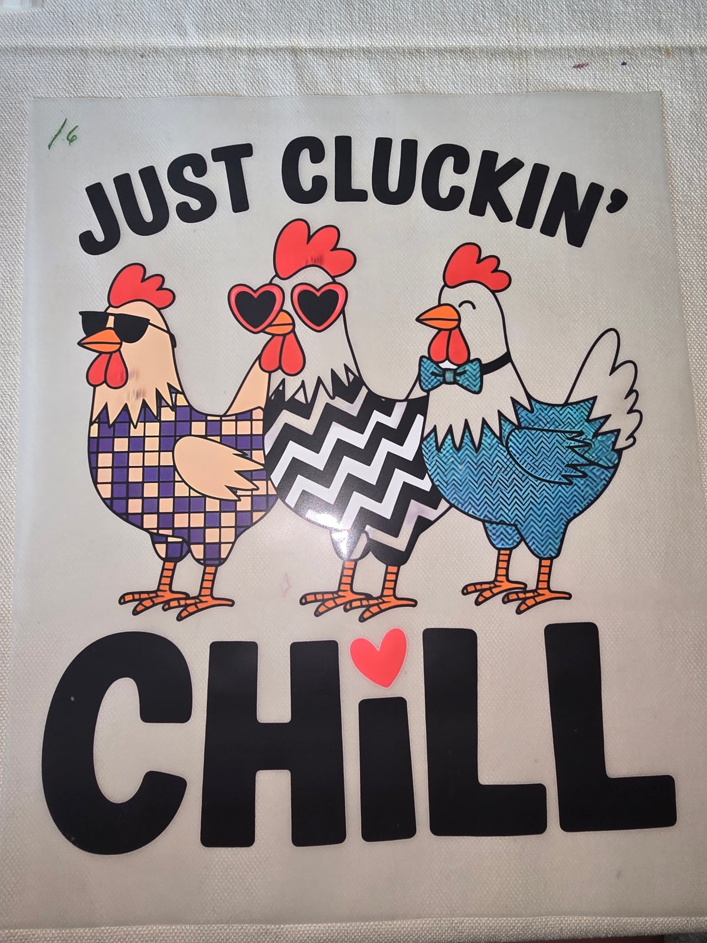 Heat Transfer - Chicken and other feathered friends