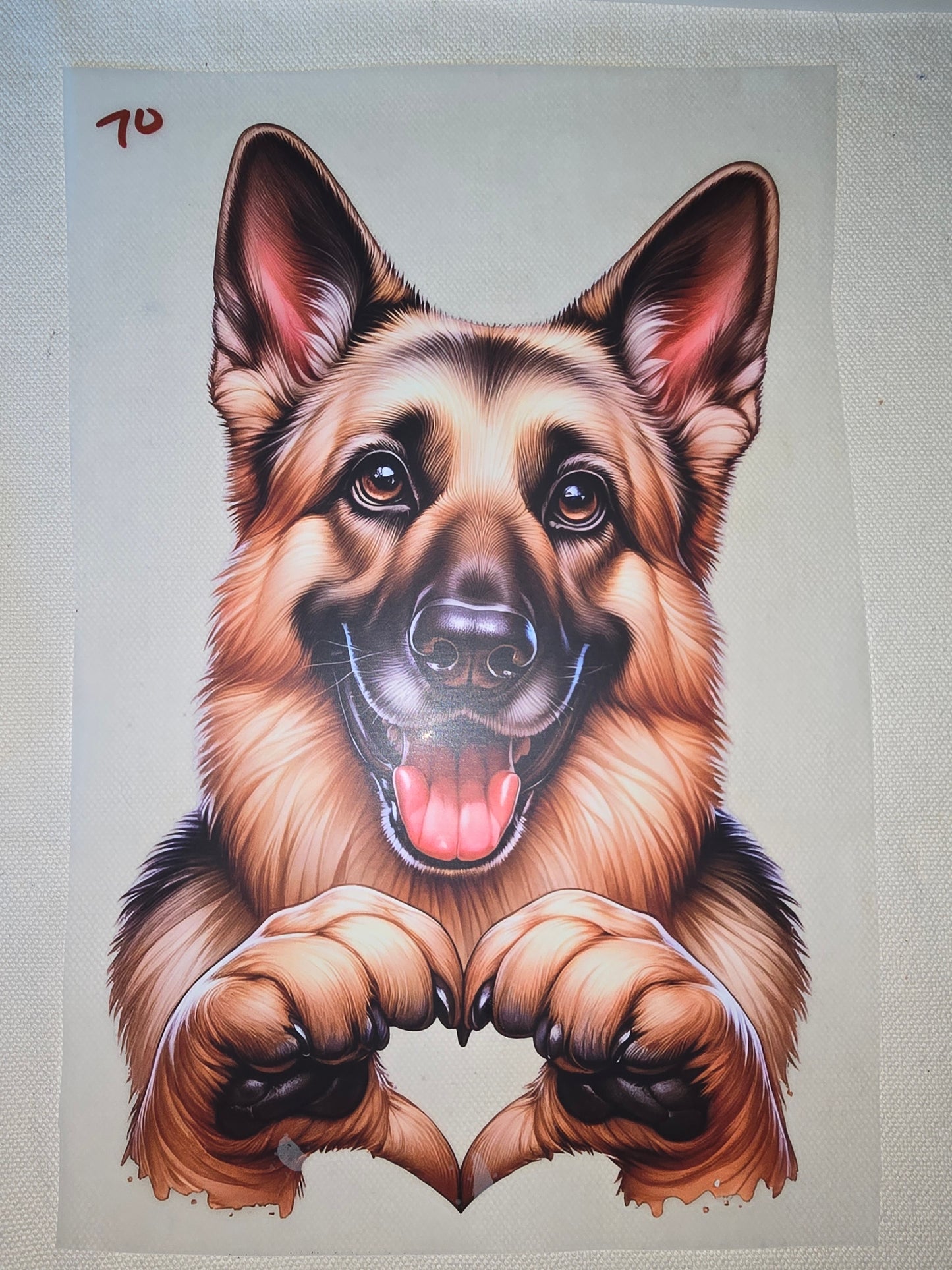 Heat Transfer - Dogs, Cats