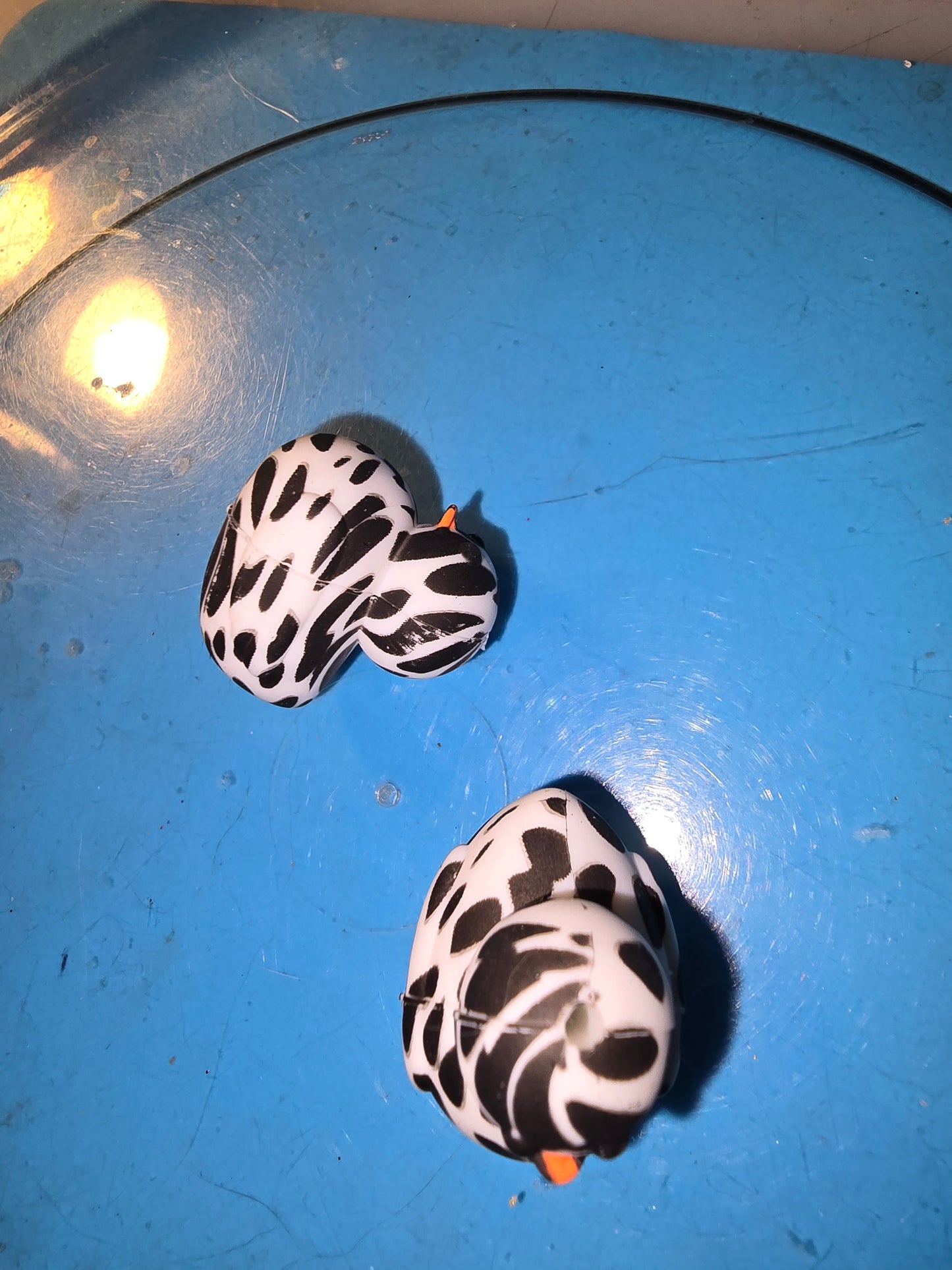 Silicone Focals Animals