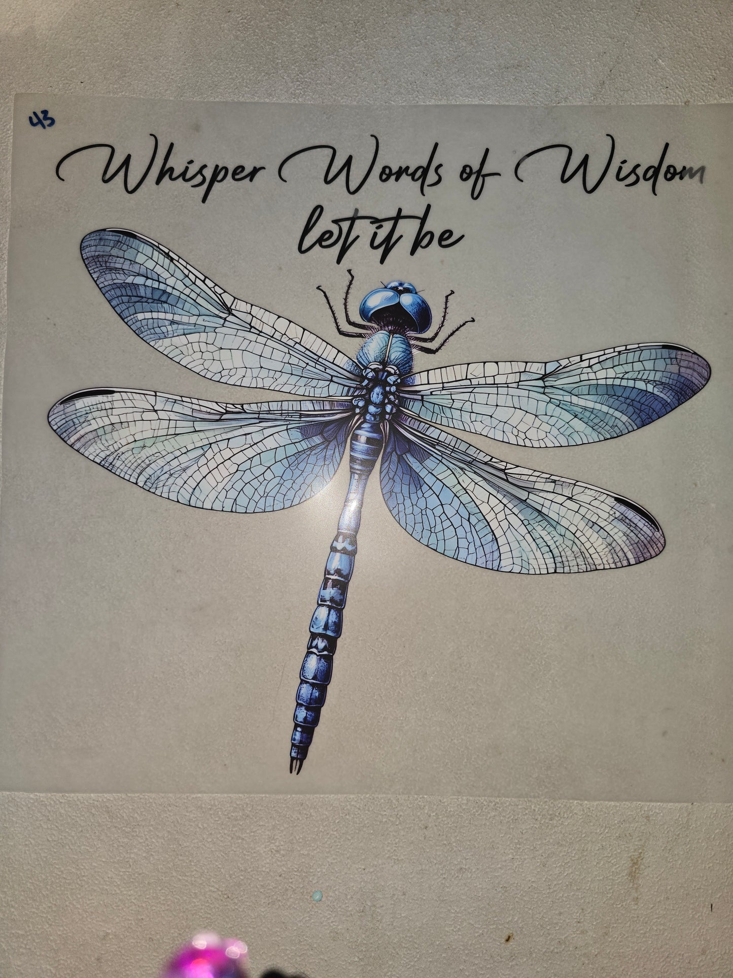 Heat Transfer - Bee, Butterfly, Dragonfly, Moth