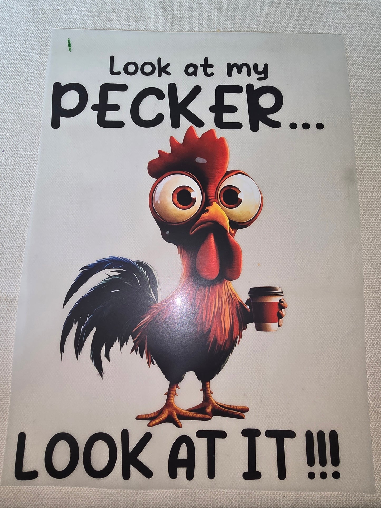 Heat Transfer - Chicken and other feathered friends