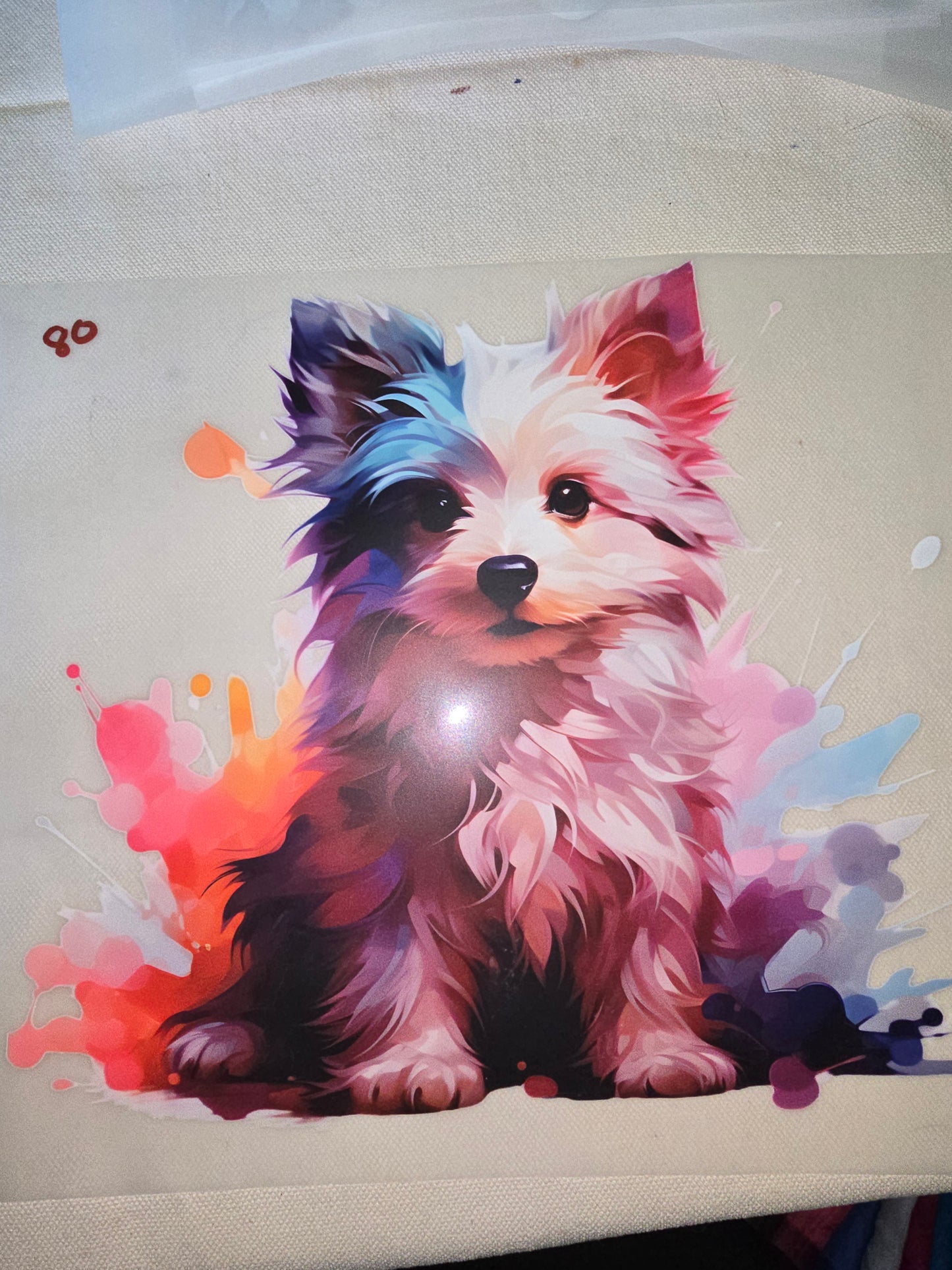 Heat Transfer - Dogs, Cats