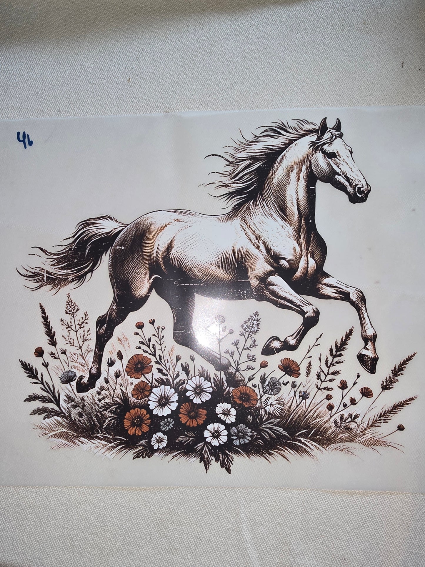 Heat Transfer - Cows, Horses