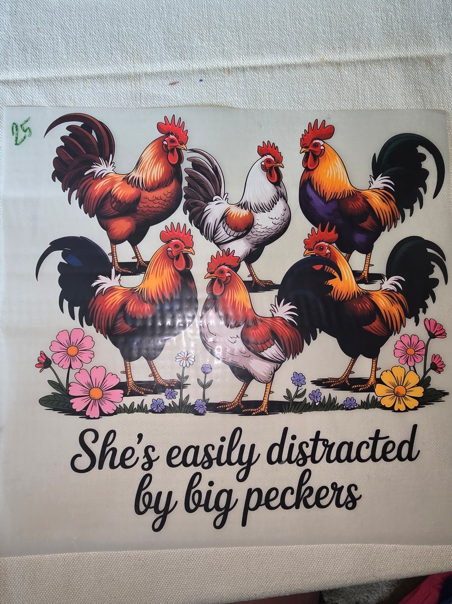 Heat Transfer - Chicken and other feathered friends